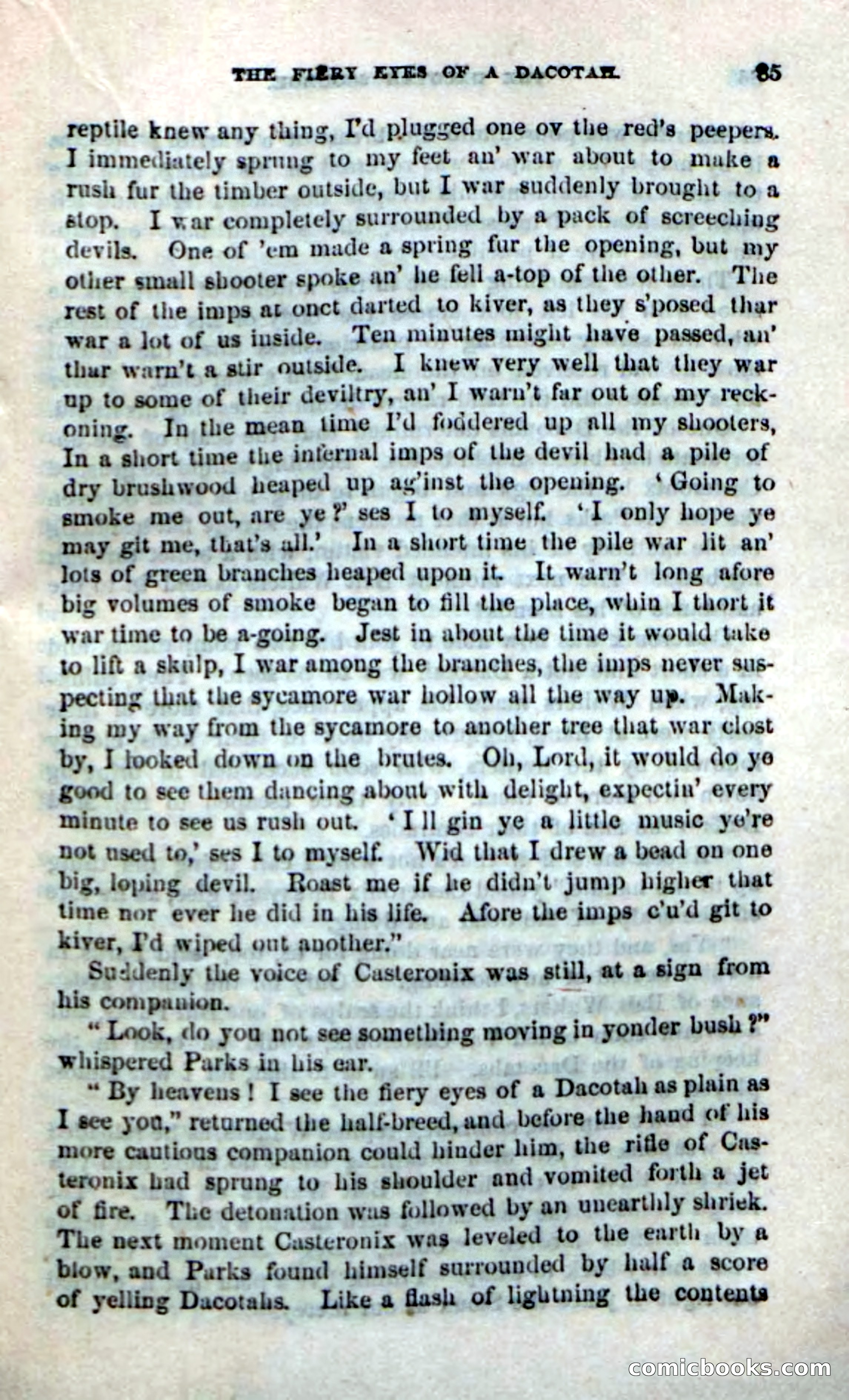 Beadle's Dime Novels No. 185: The Dacotah Scourge — page 83 of 100