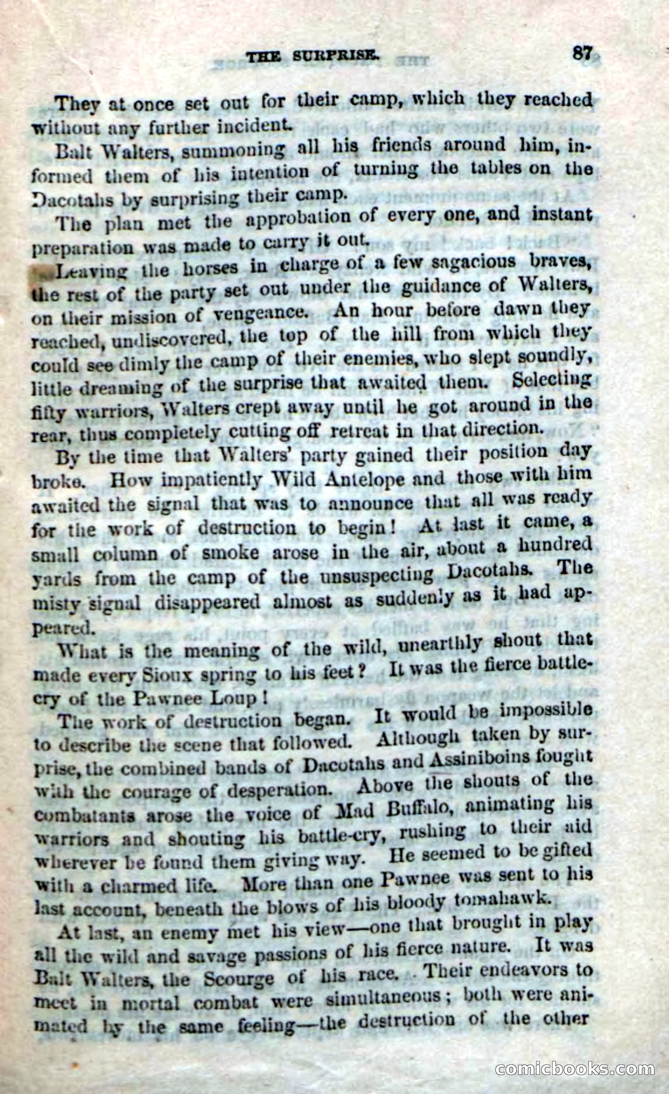 Beadle's Dime Novels No. 185: The Dacotah Scourge — page 85 of 100