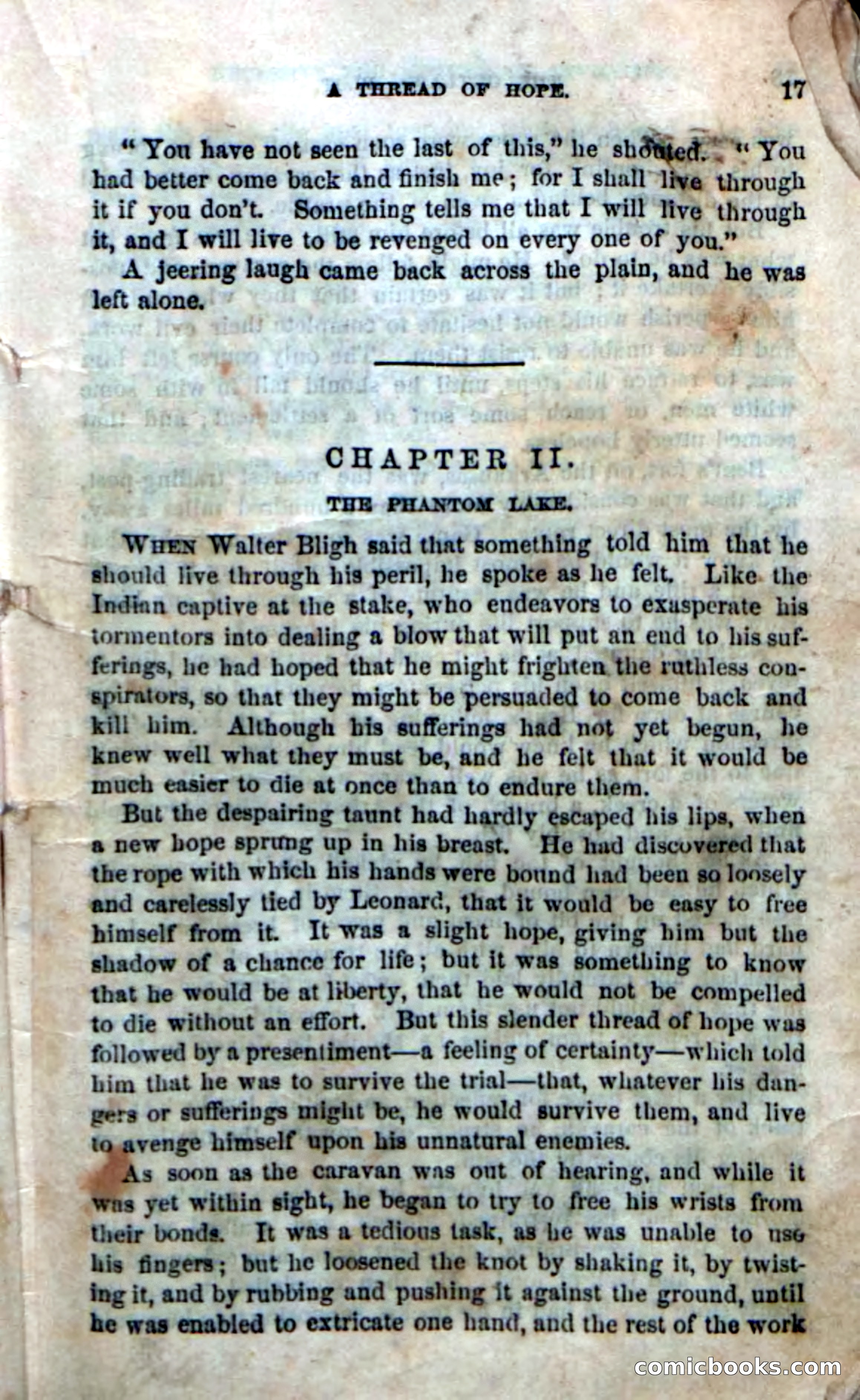The Laws' Plot; or, Alone on the Plains — page 11 of 92