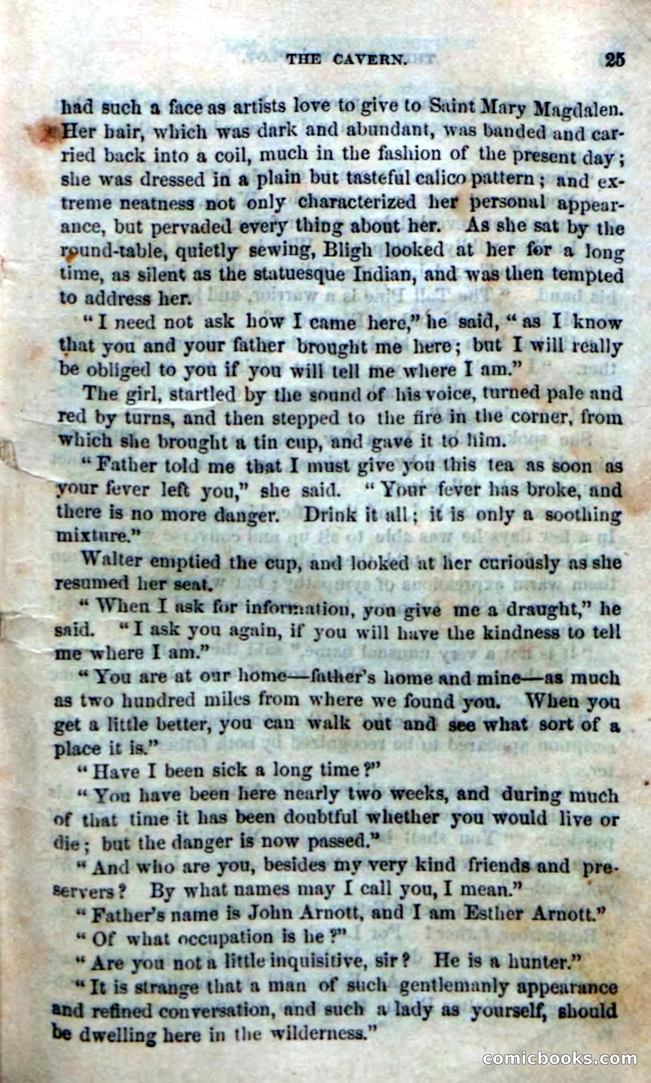 The Laws' Plot; or, Alone on the Plains — page 19 of 92