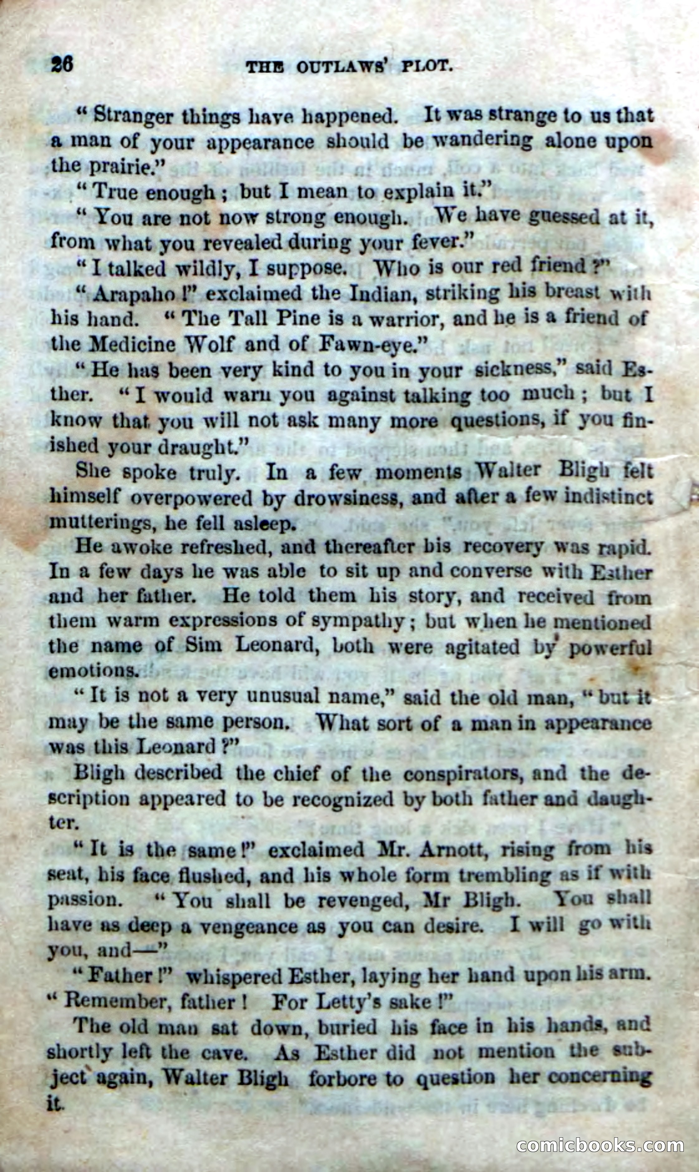 The Laws' Plot; or, Alone on the Plains — page 20 of 92