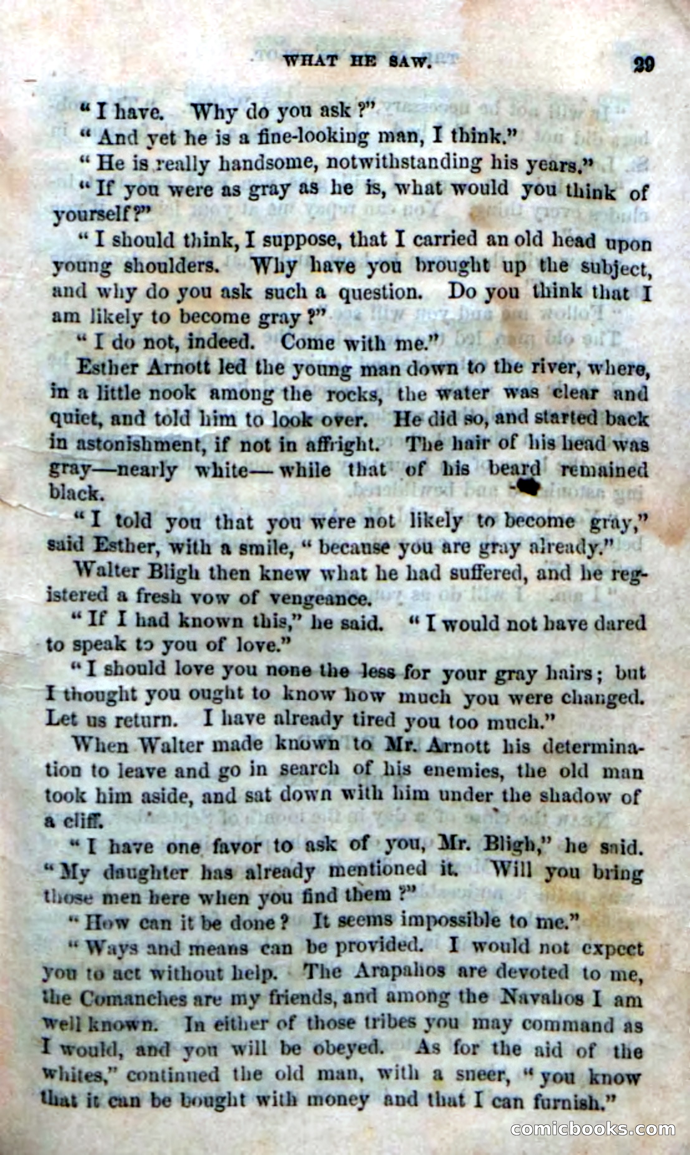 The Laws' Plot; or, Alone on the Plains — page 23 of 92
