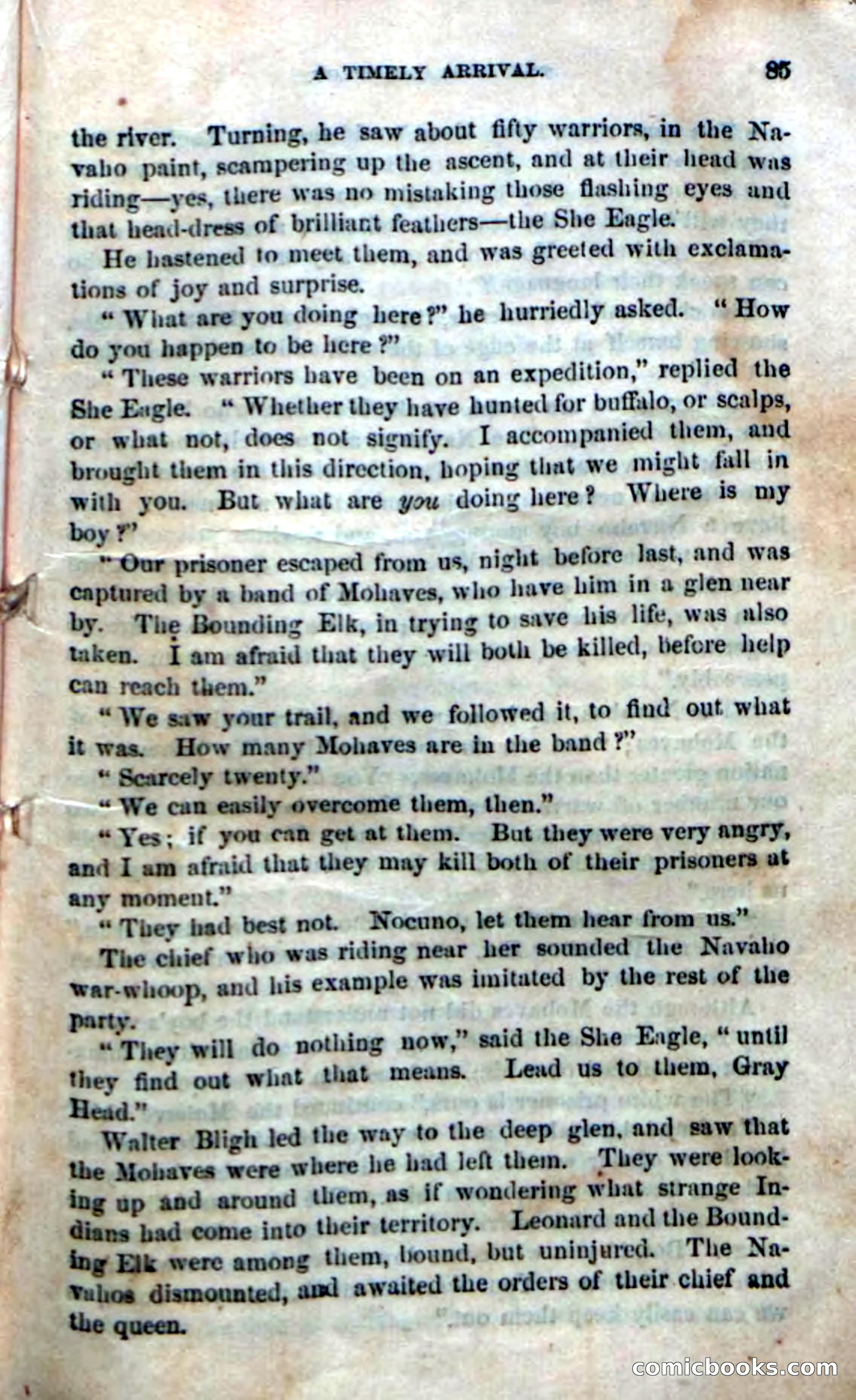 The Laws' Plot; or, Alone on the Plains — page 79 of 92