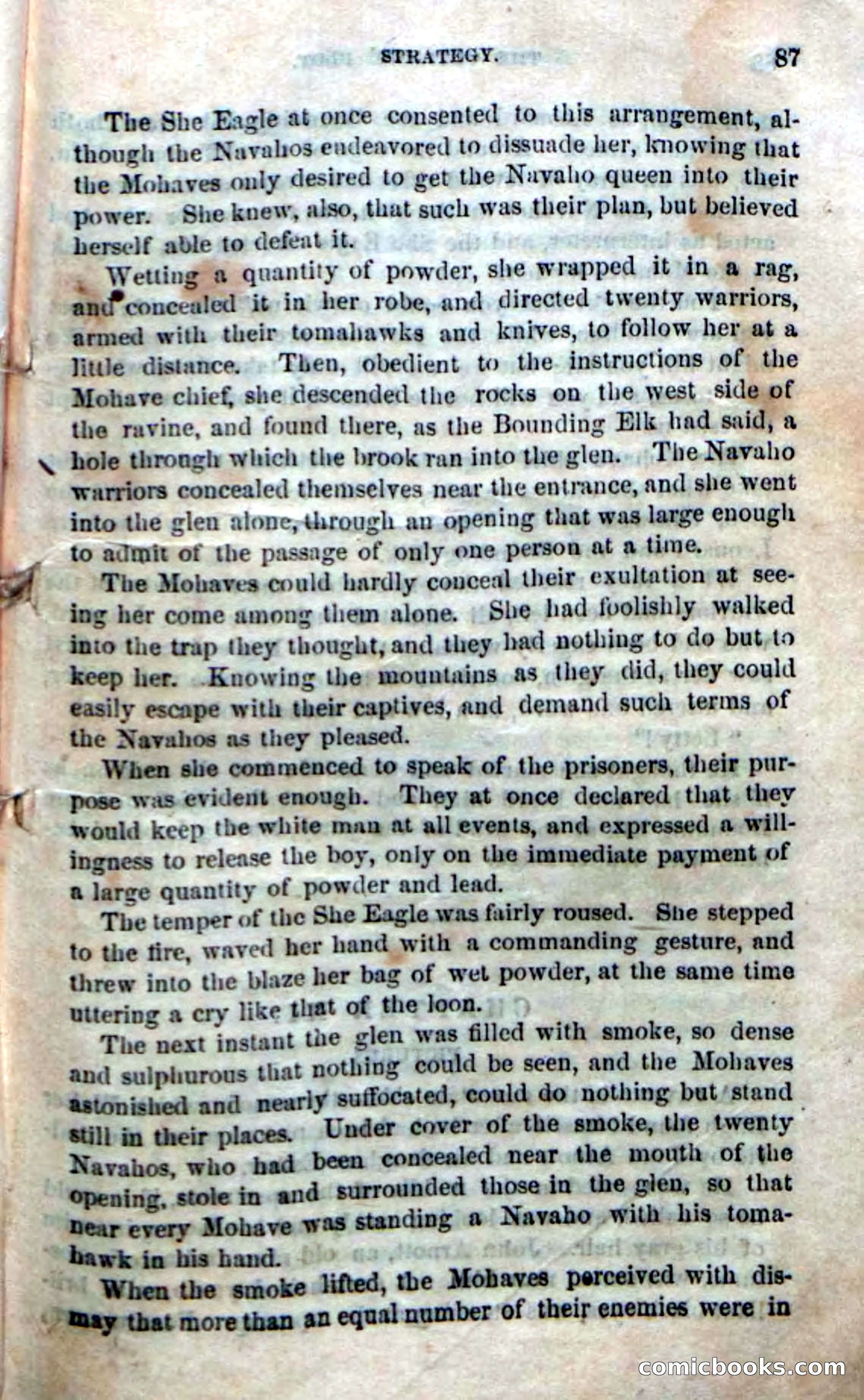 The Laws' Plot; or, Alone on the Plains — page 81 of 92
