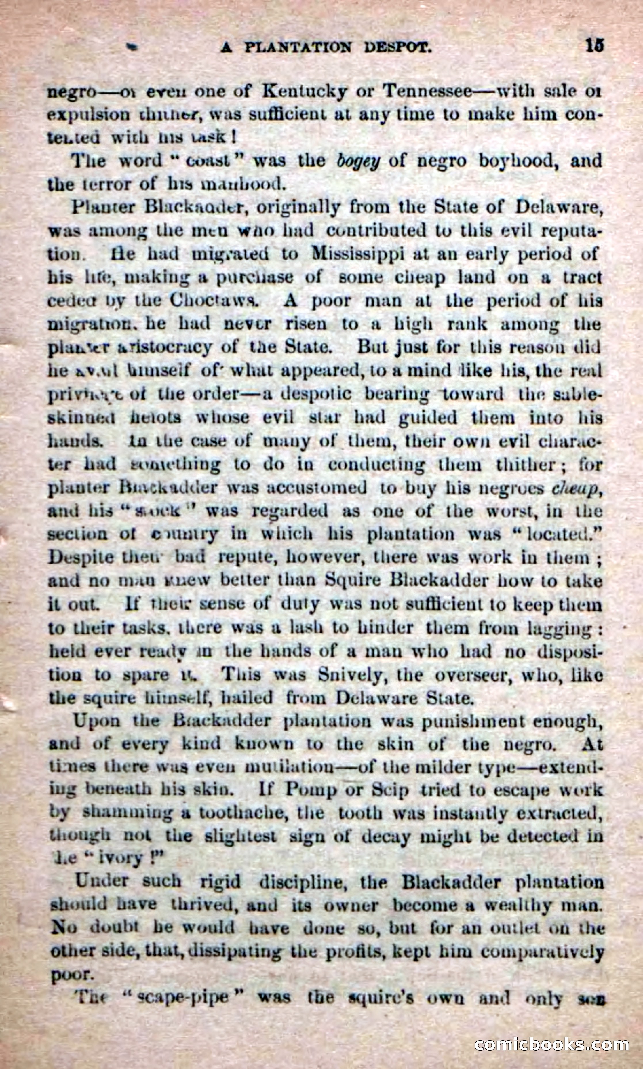 The Yellow Chief — page 13 of 100