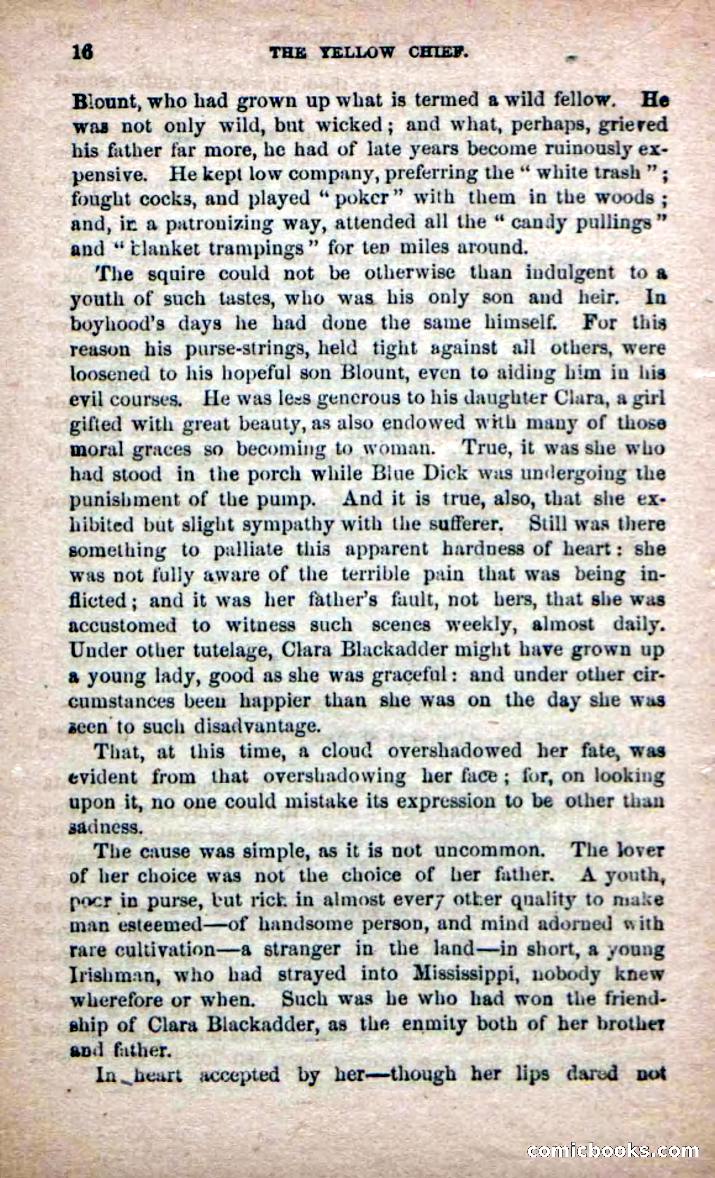 The Yellow Chief — page 14 of 100