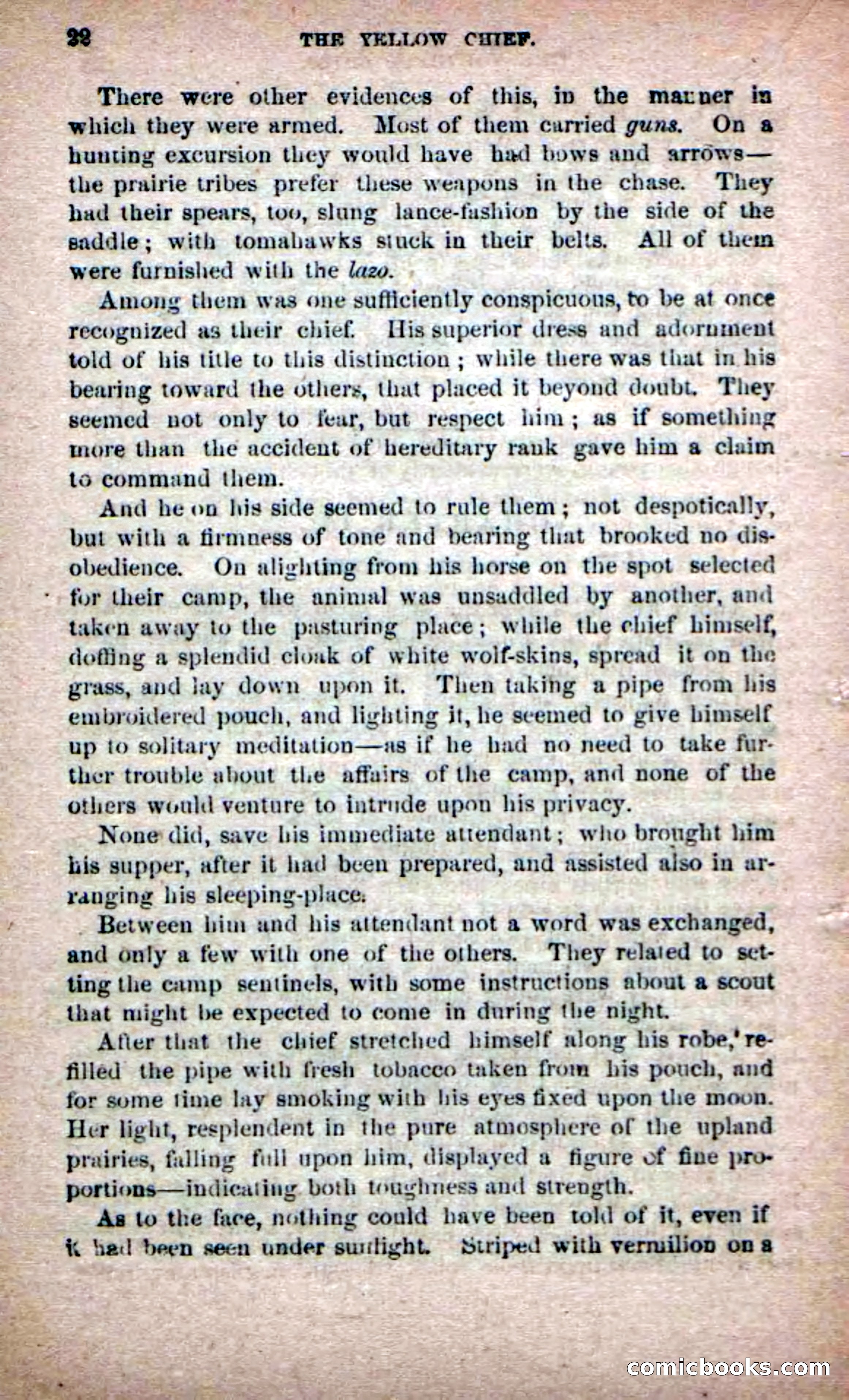 The Yellow Chief — page 20 of 100