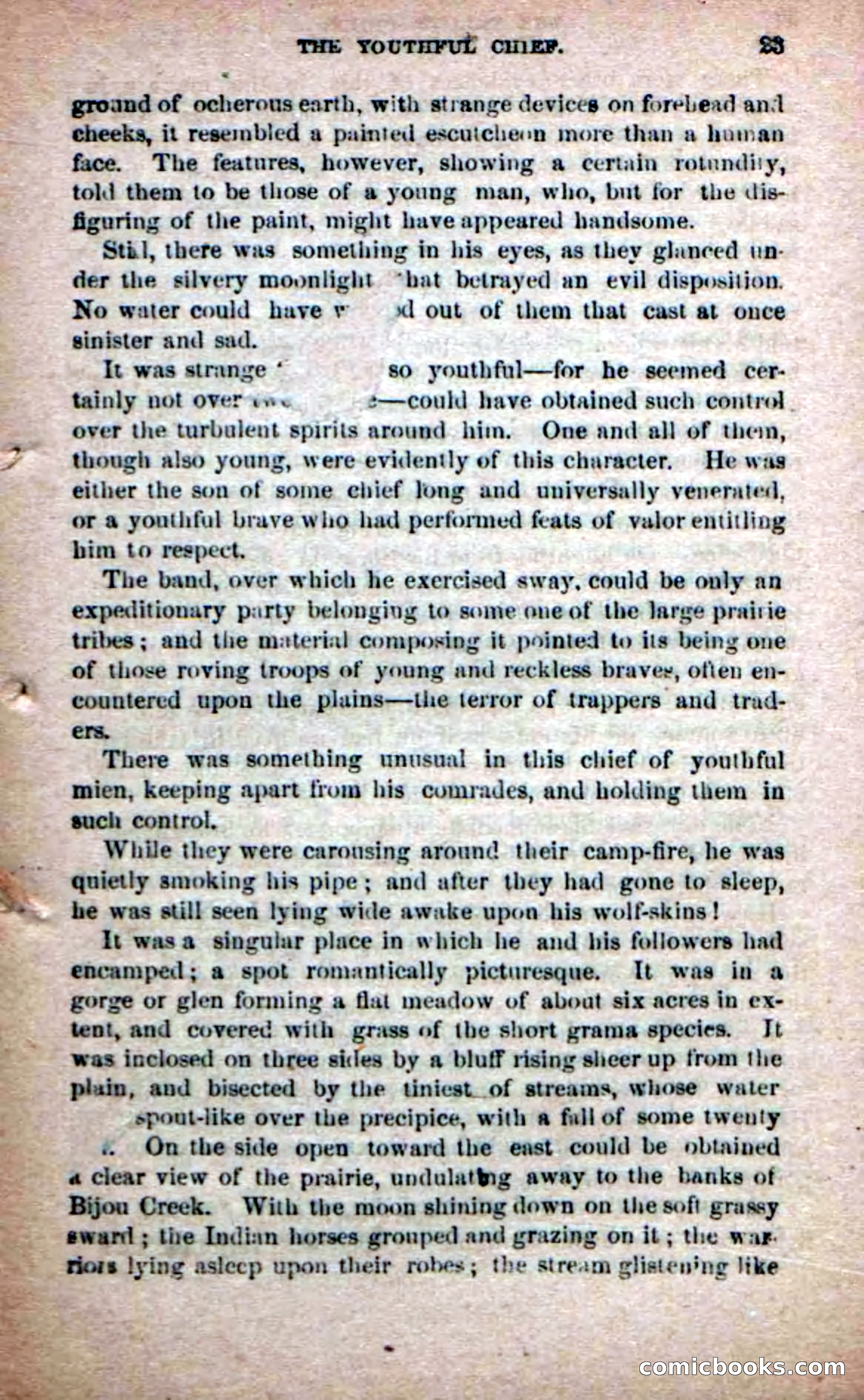 The Yellow Chief — page 21 of 100