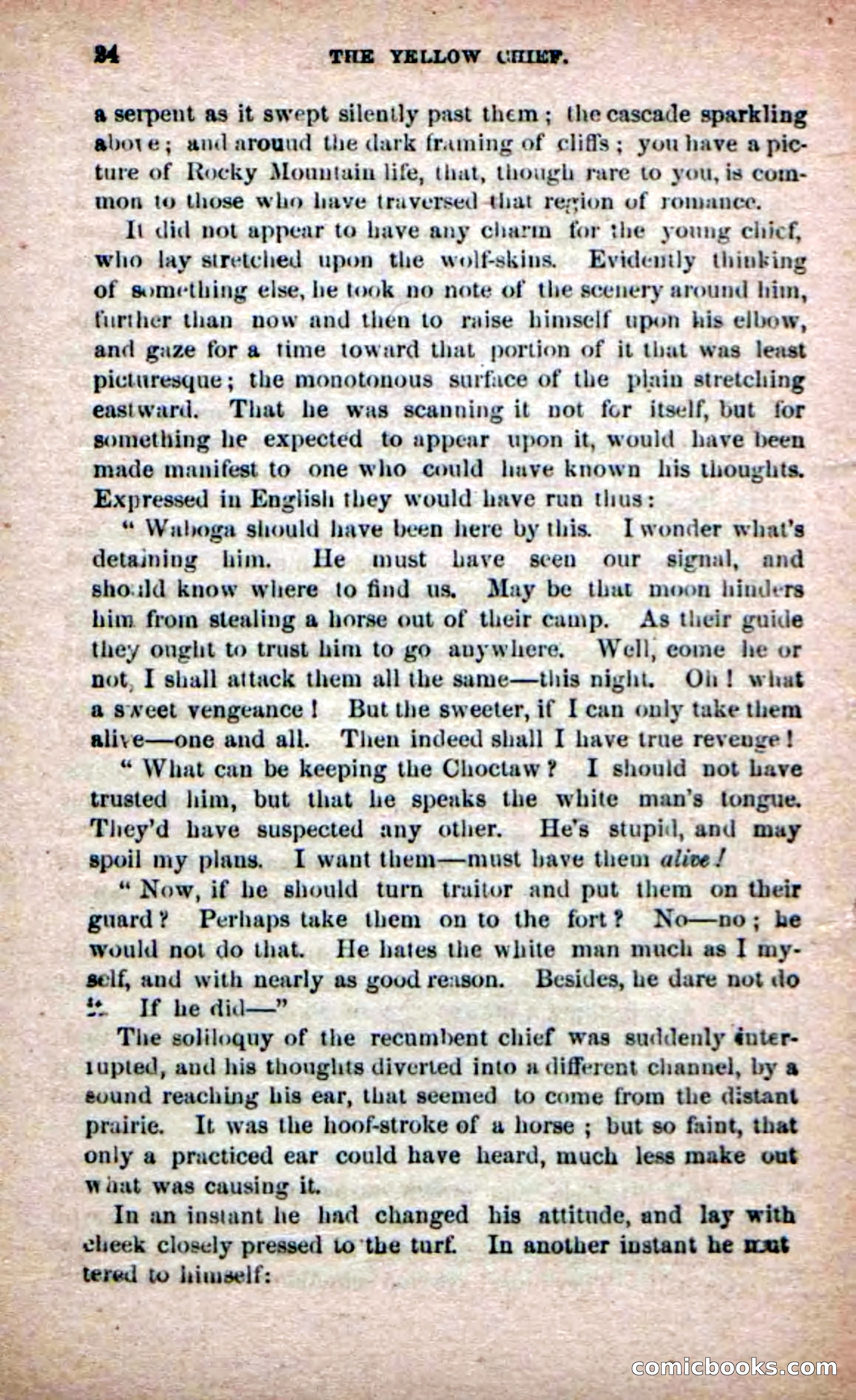 The Yellow Chief — page 22 of 100