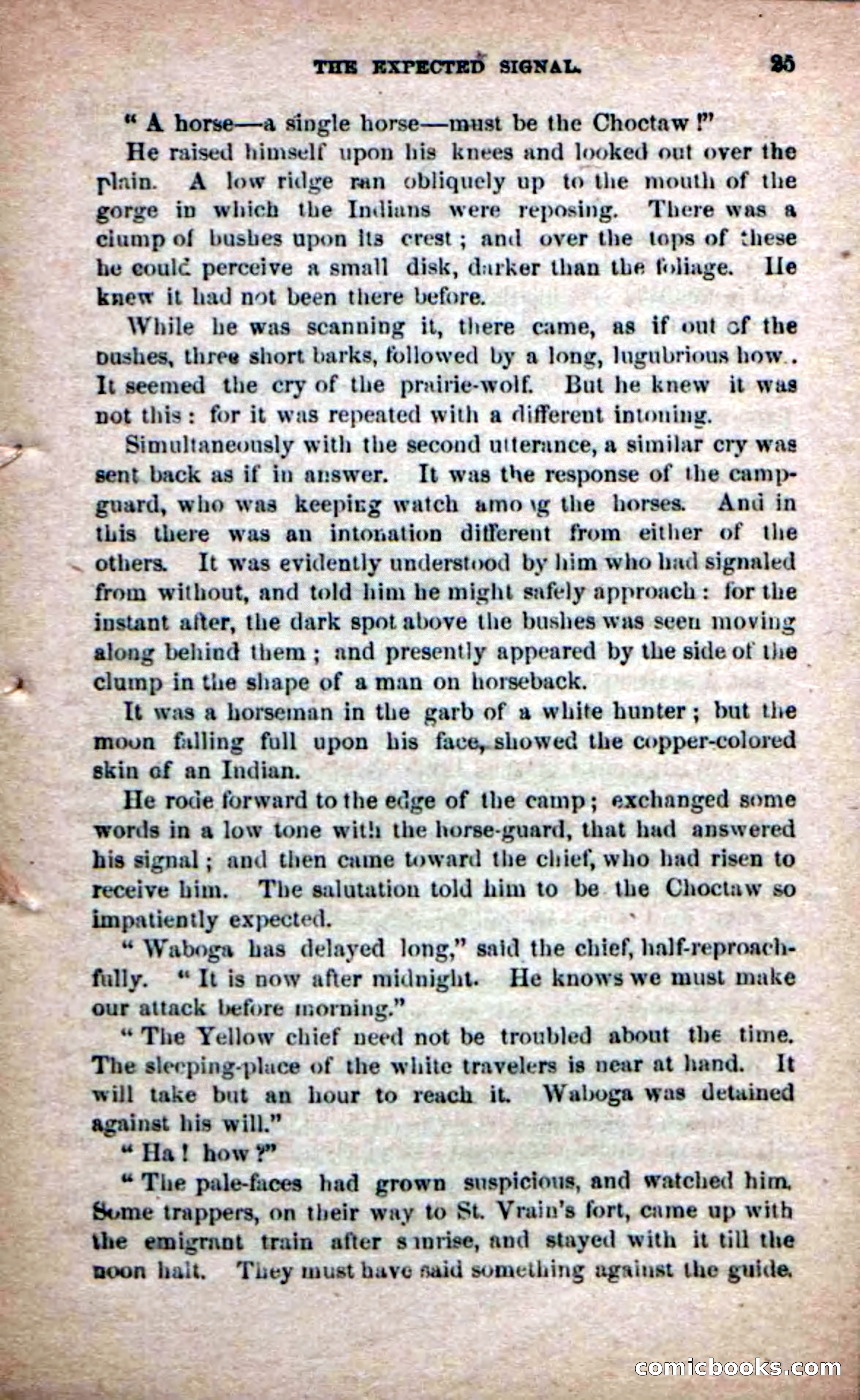The Yellow Chief — page 23 of 100