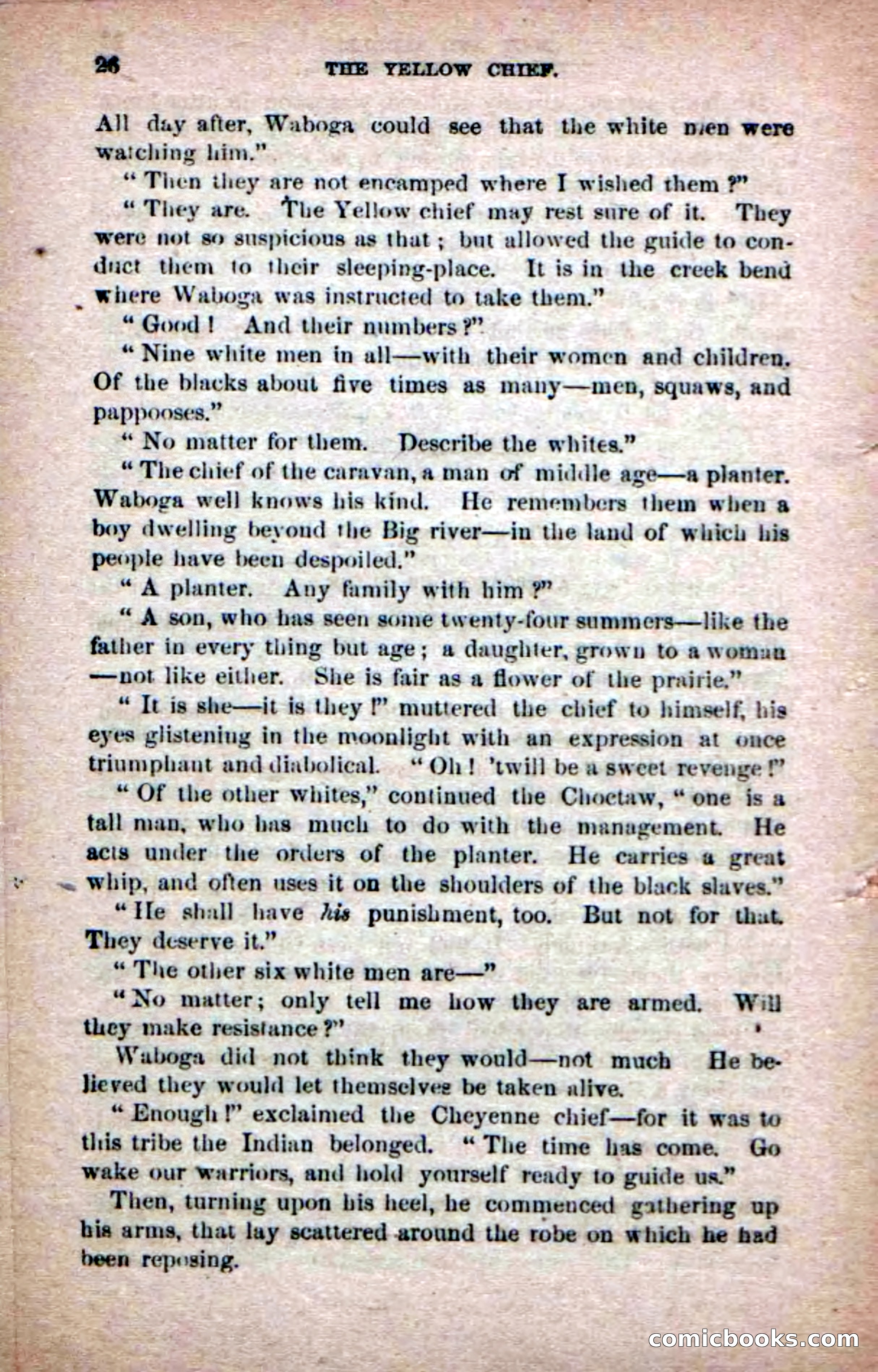 The Yellow Chief — page 24 of 100