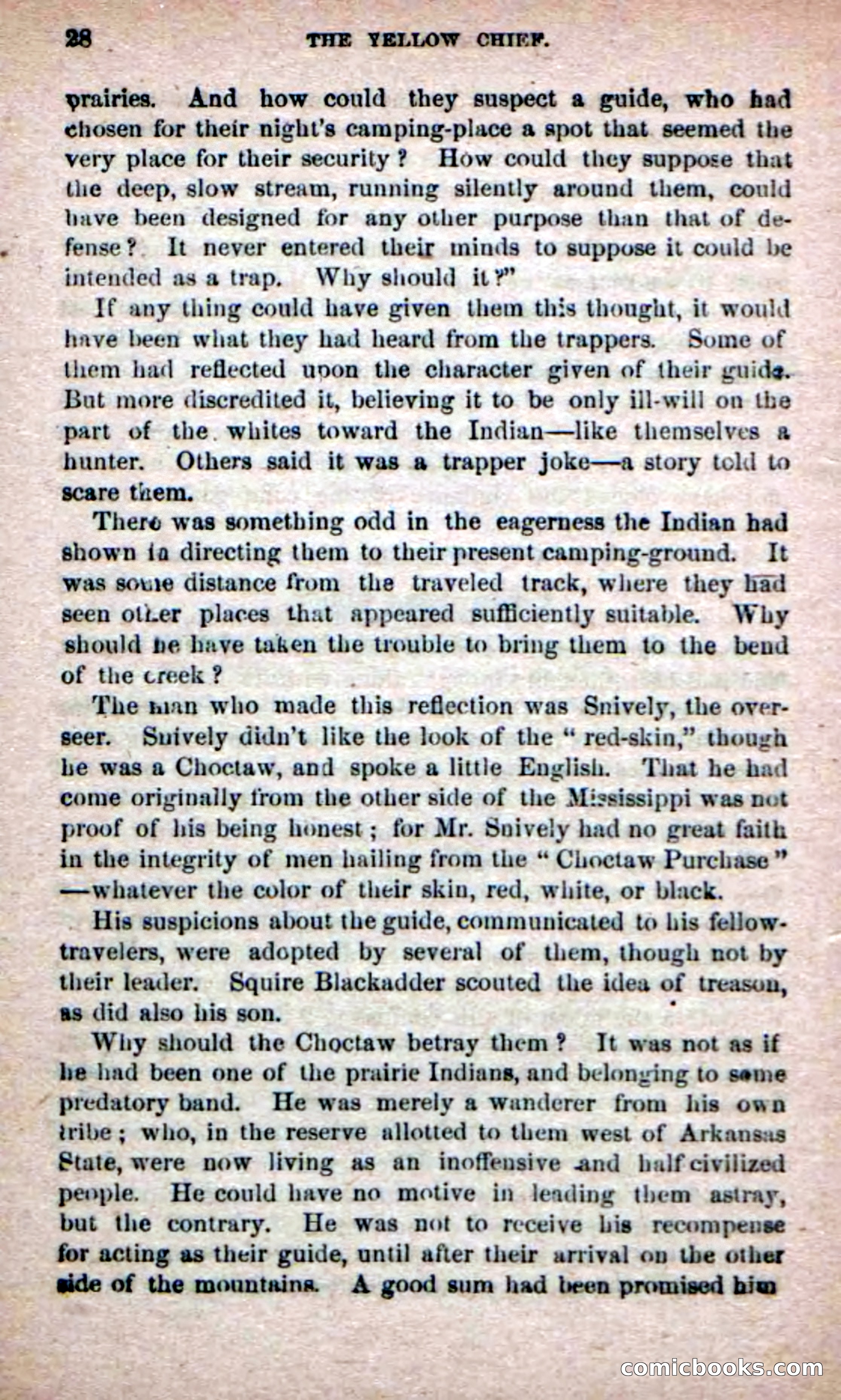 The Yellow Chief — page 26 of 100