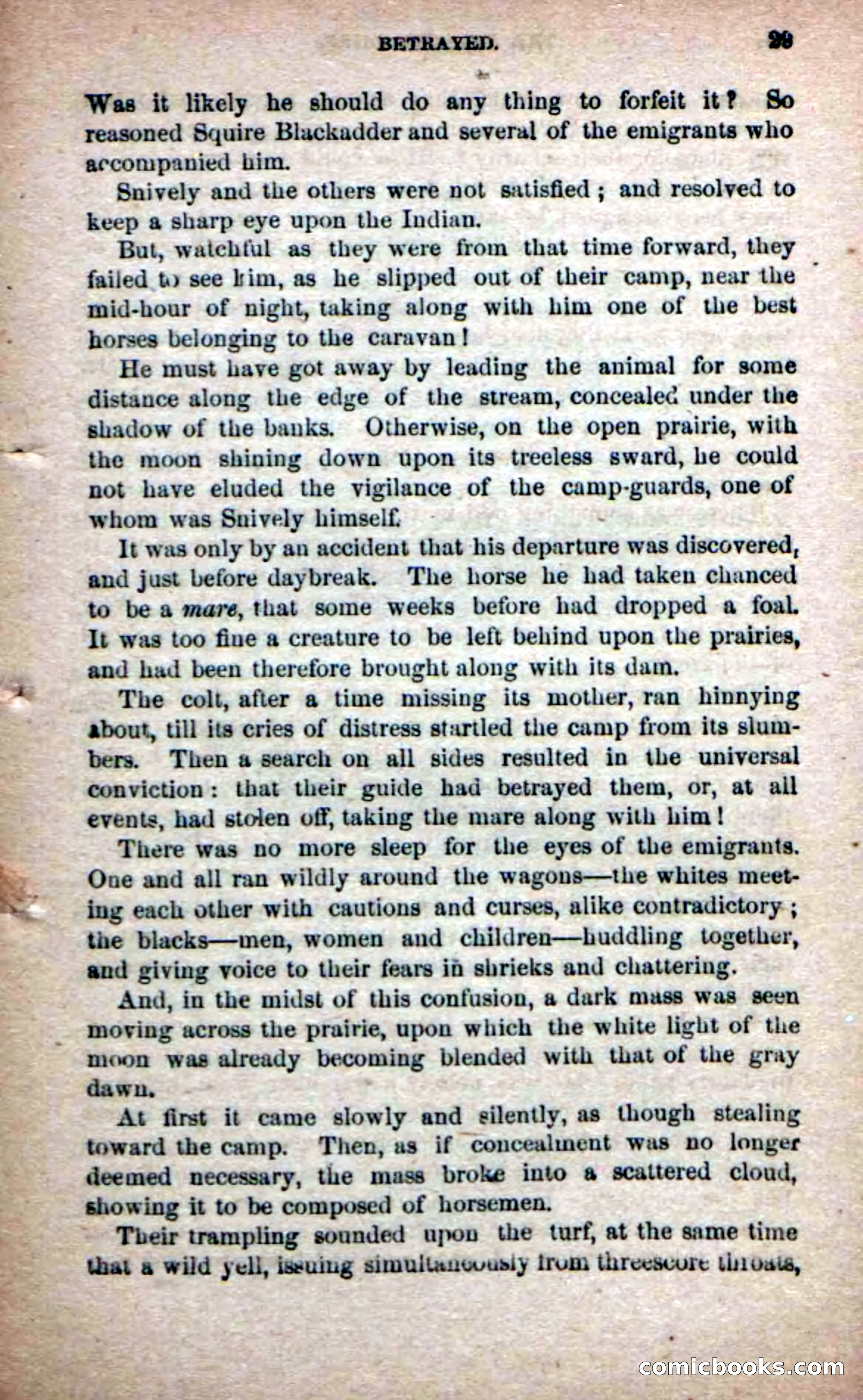 The Yellow Chief — page 27 of 100