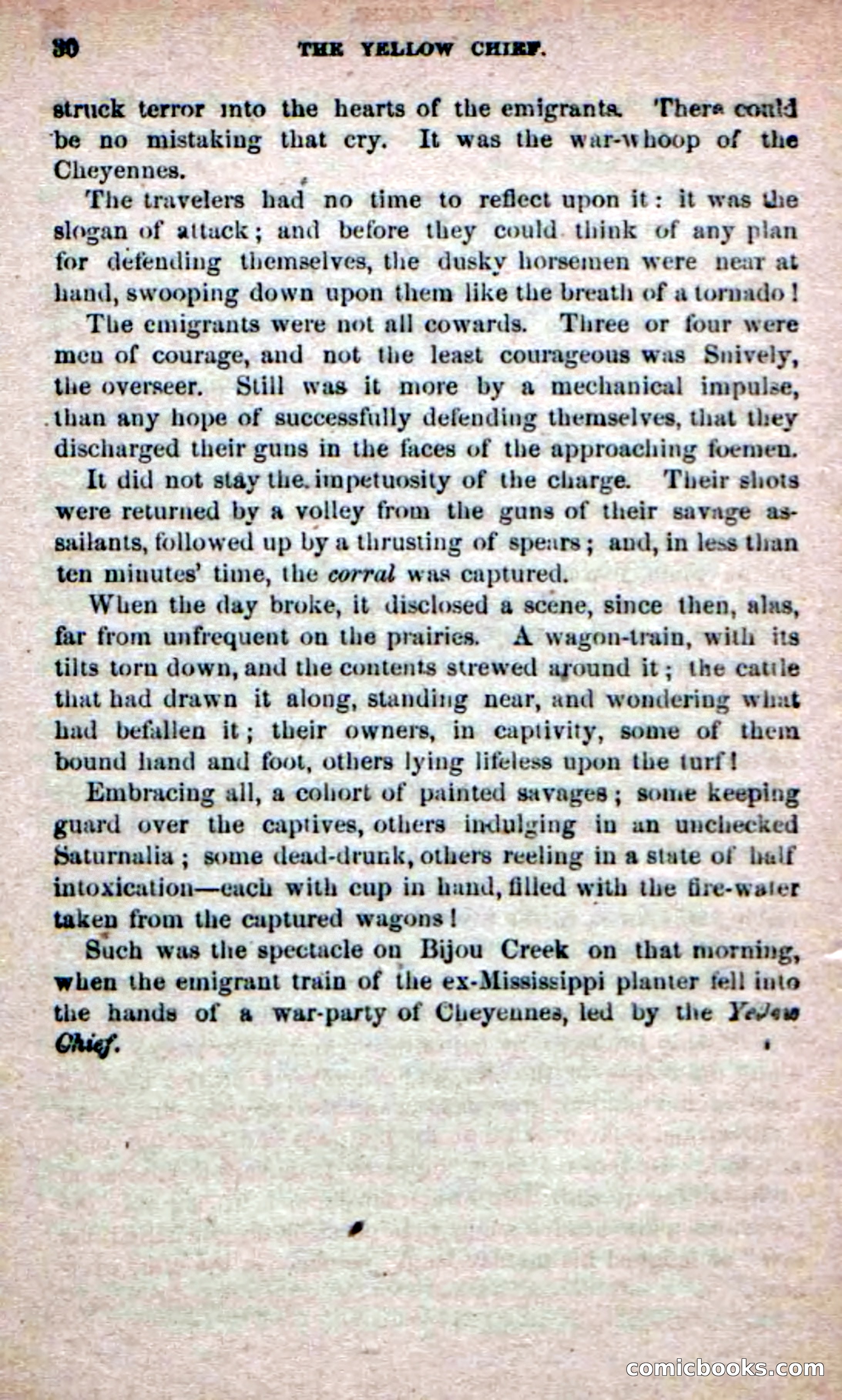 The Yellow Chief — page 28 of 100