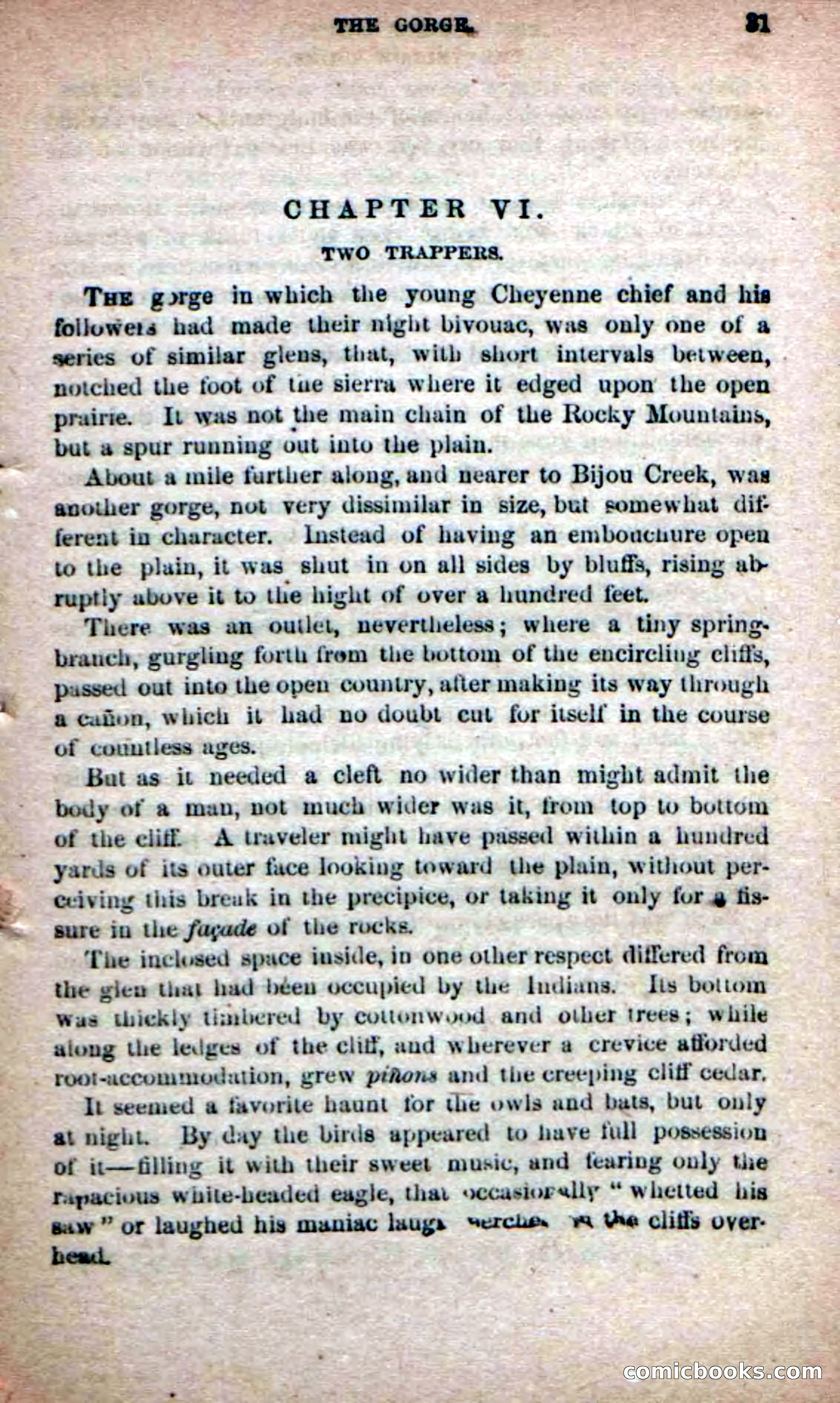 The Yellow Chief — page 29 of 100