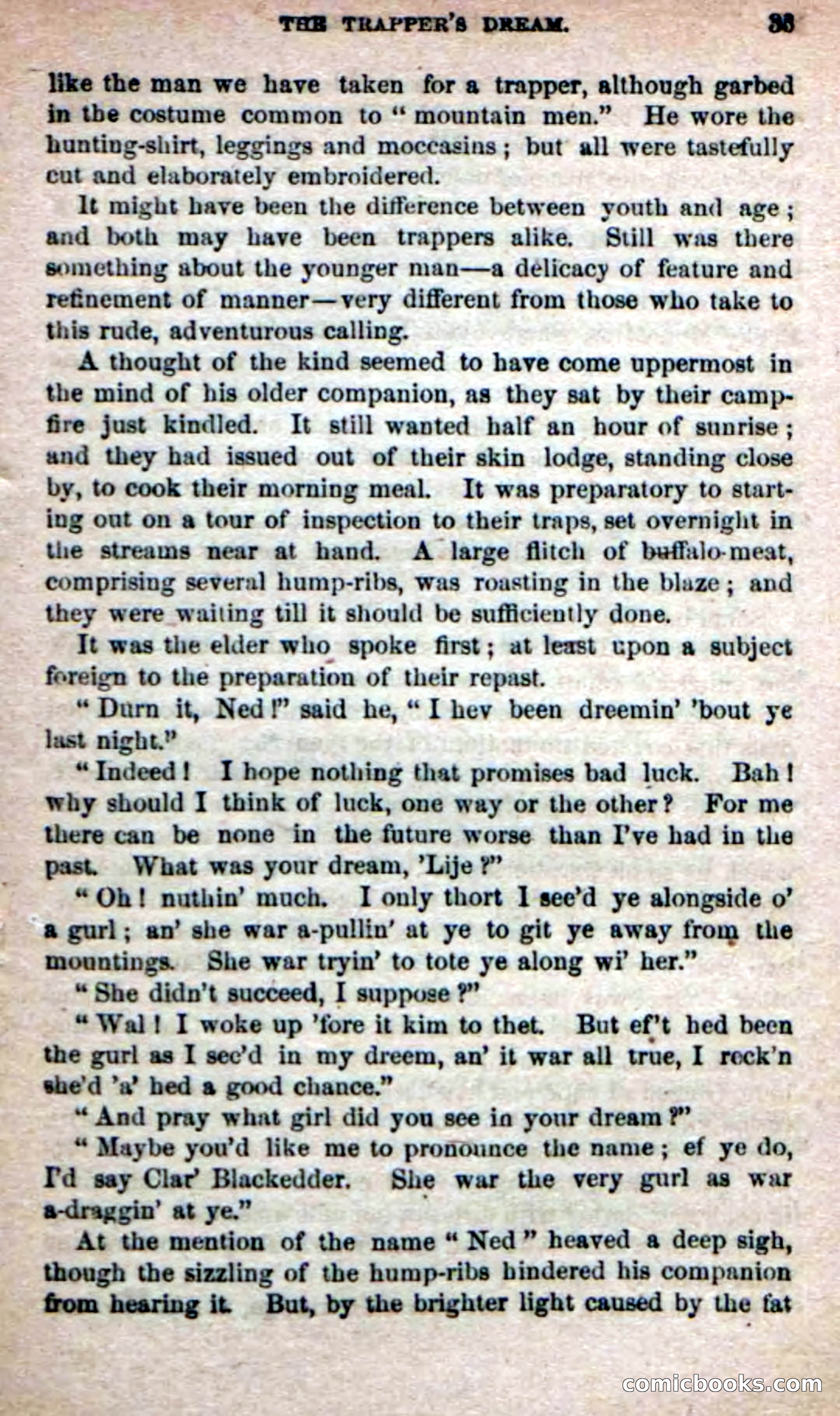 The Yellow Chief — page 31 of 100