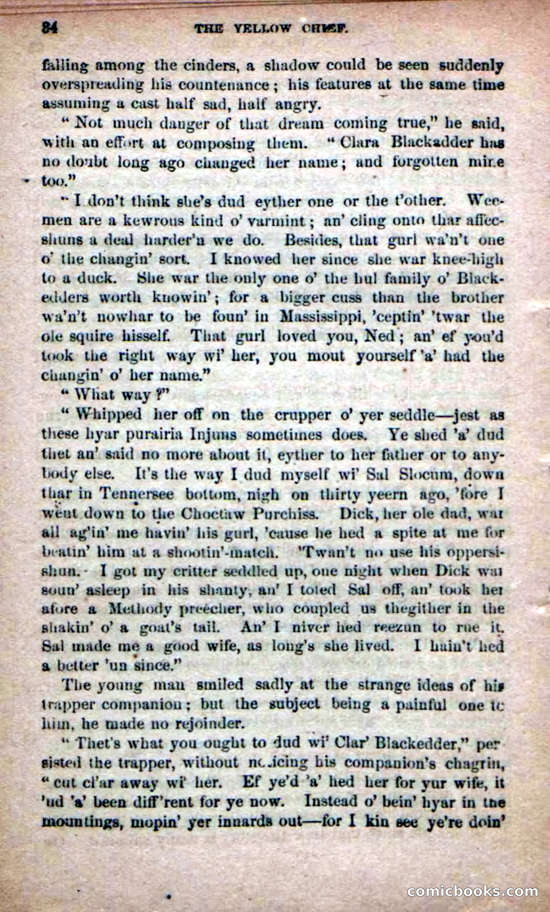 The Yellow Chief — page 32 of 100