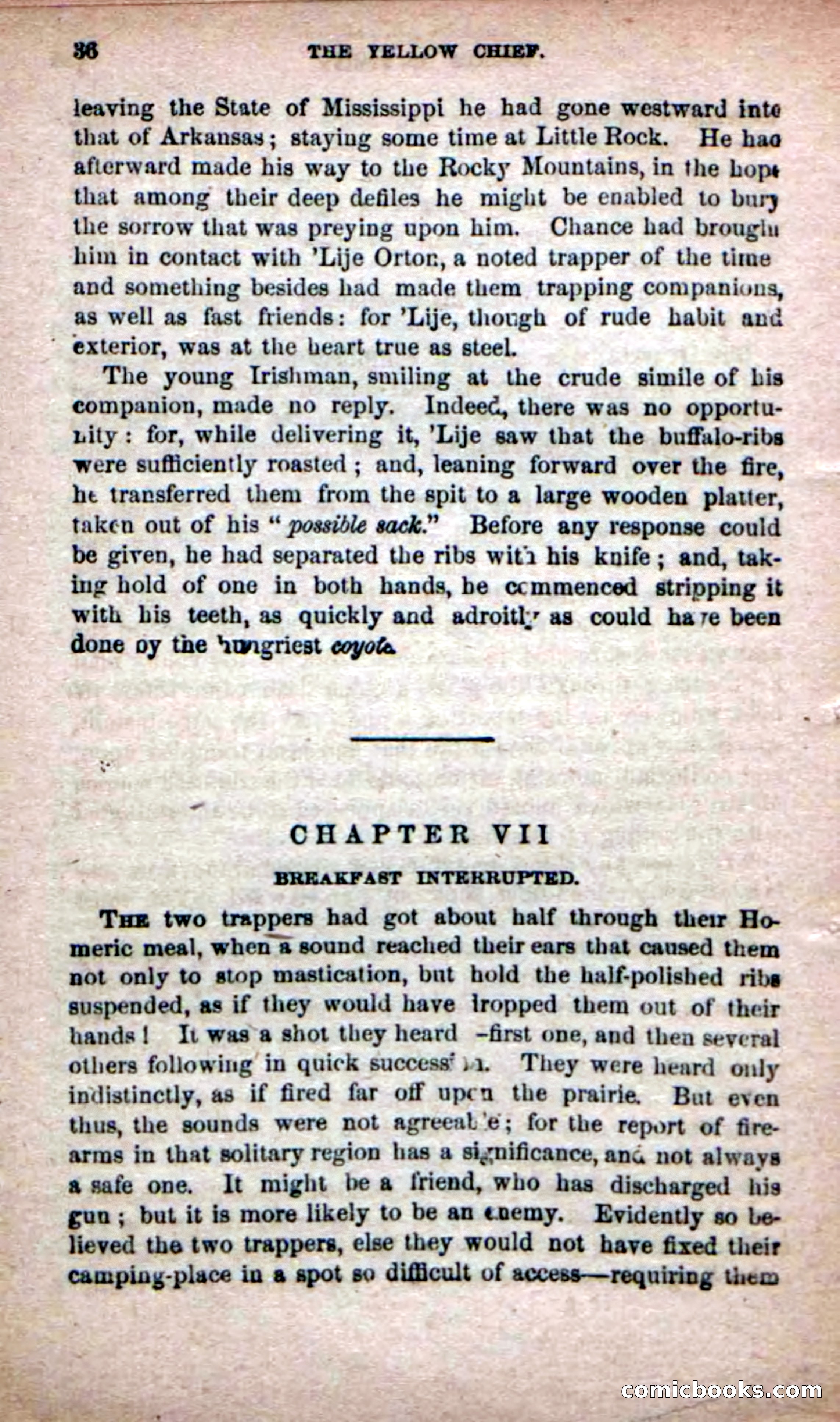 The Yellow Chief — page 34 of 100