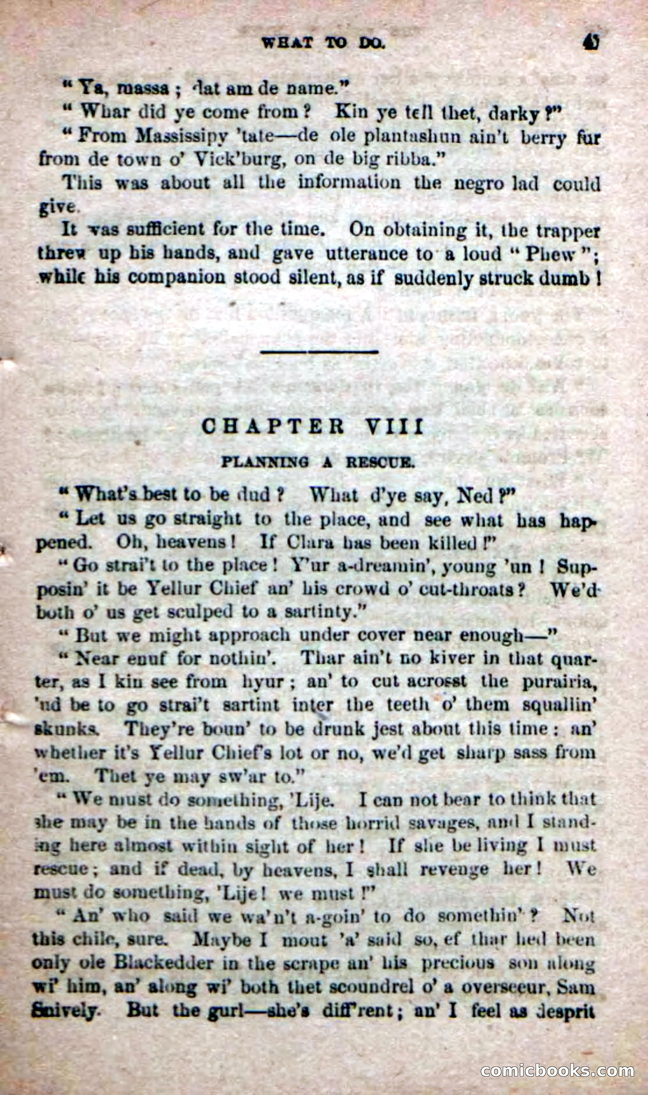 The Yellow Chief — page 39 of 100