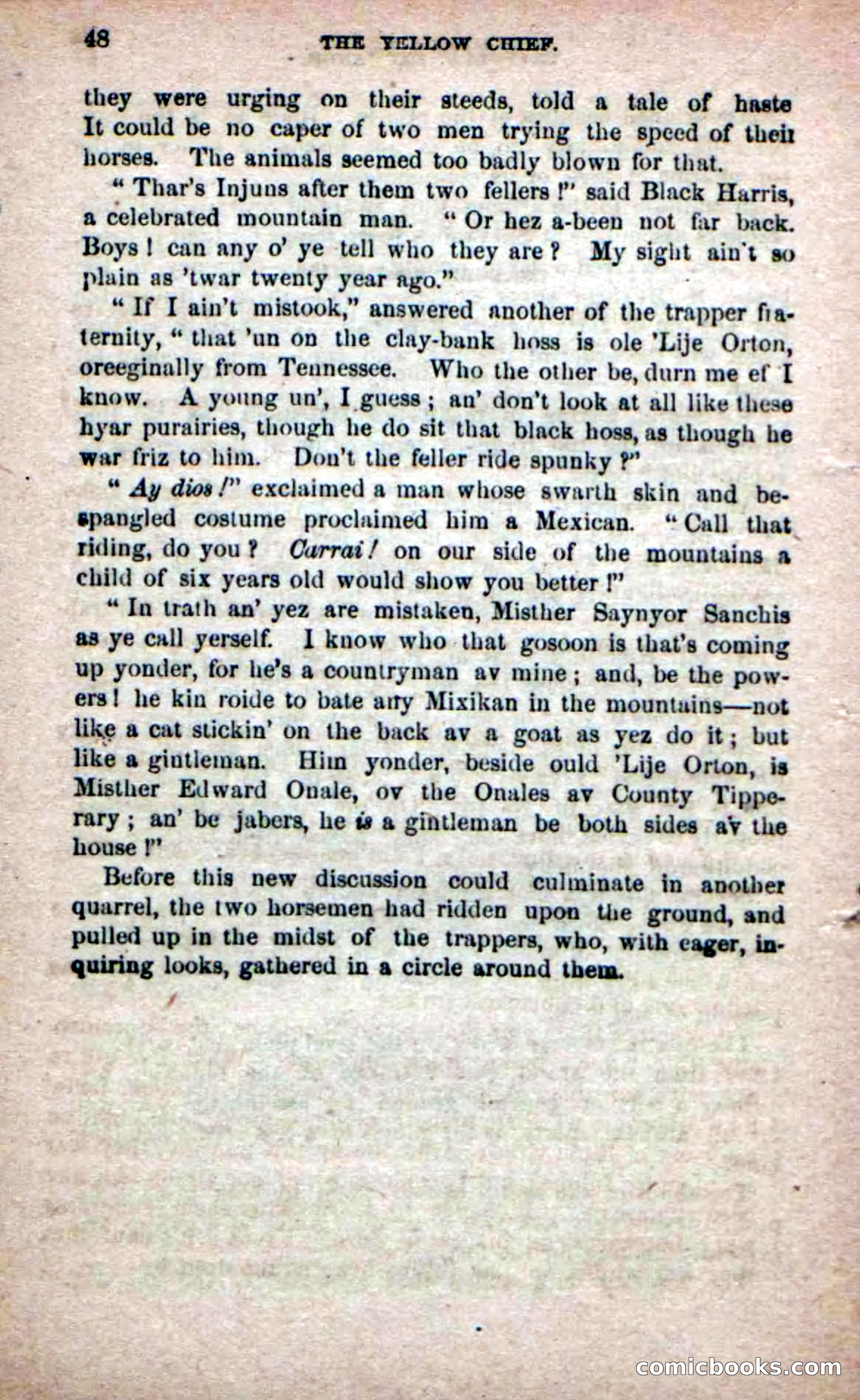 The Yellow Chief — page 46 of 100