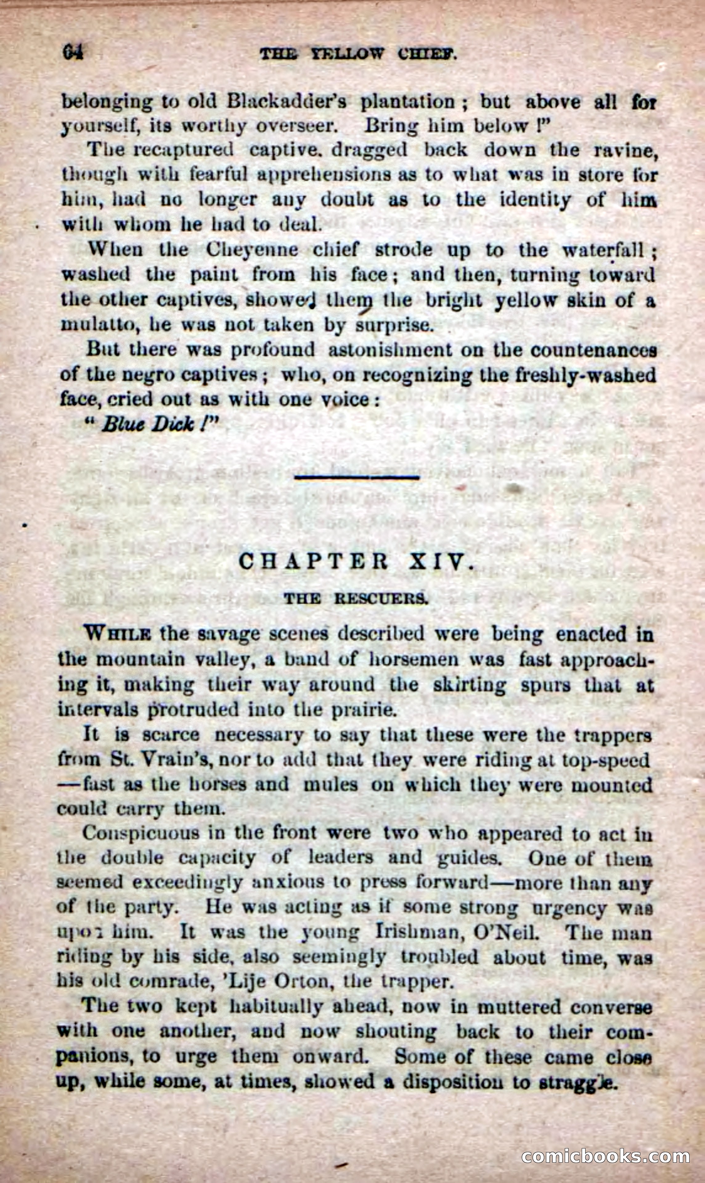 The Yellow Chief — page 62 of 100