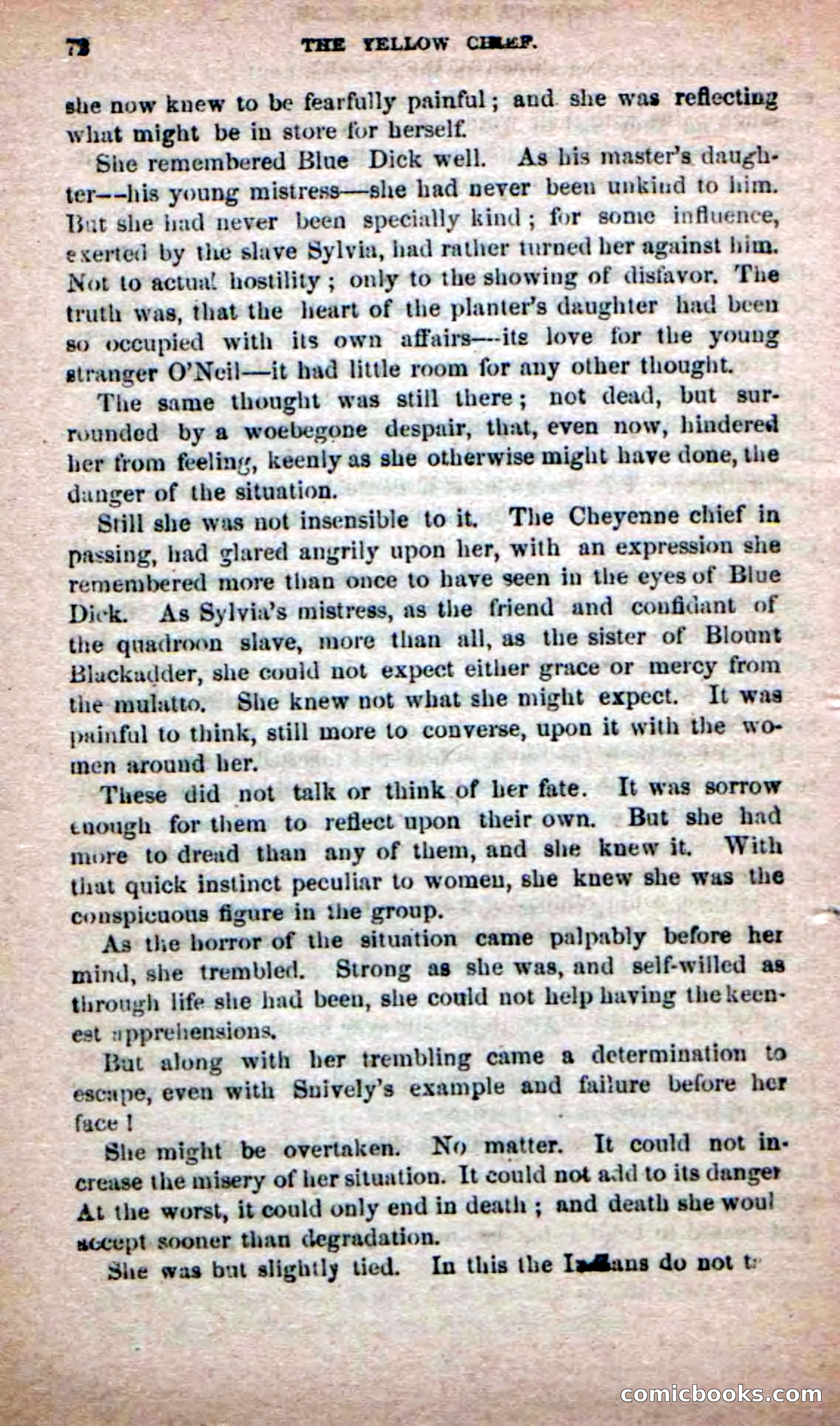 The Yellow Chief — page 70 of 100