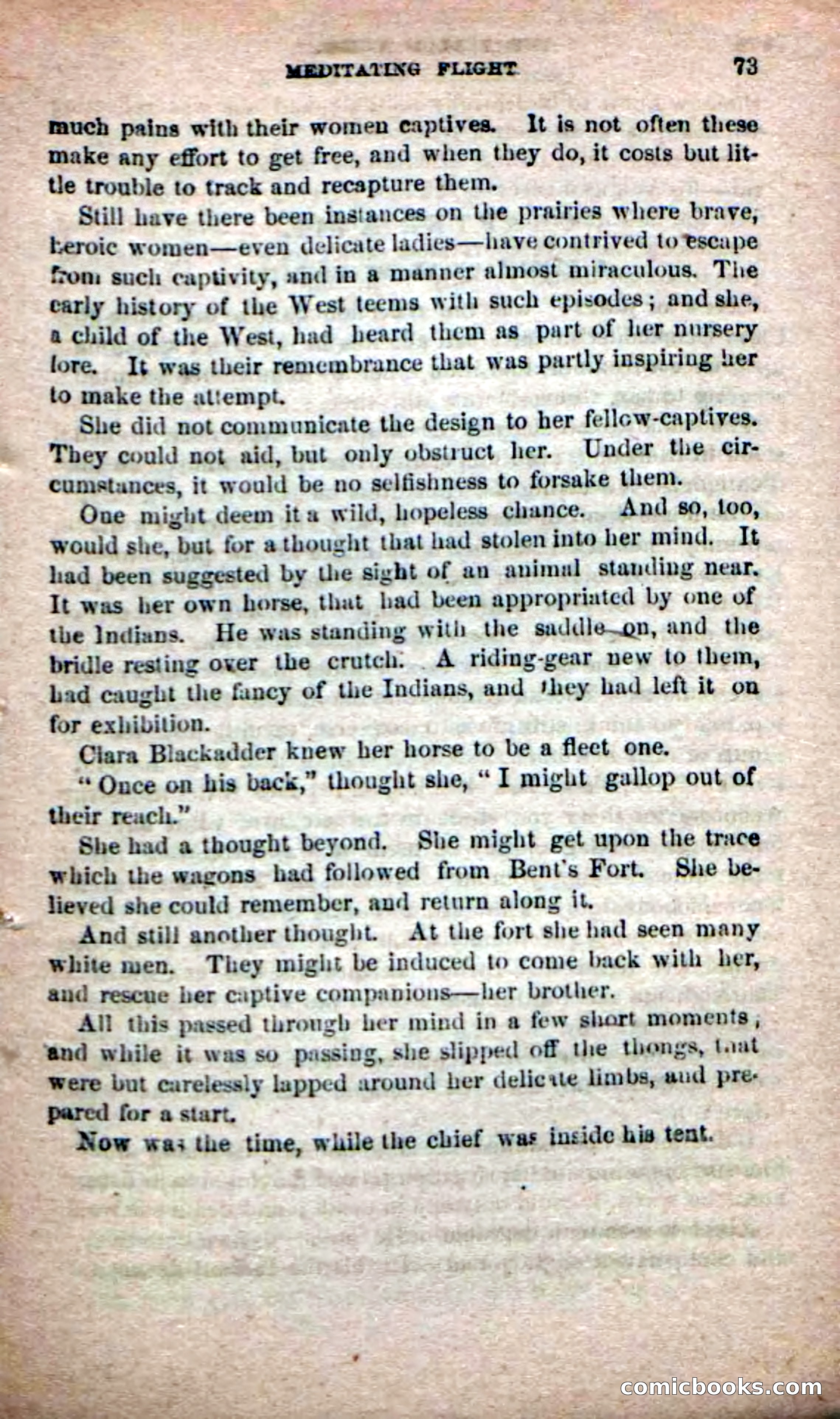 The Yellow Chief — page 71 of 100