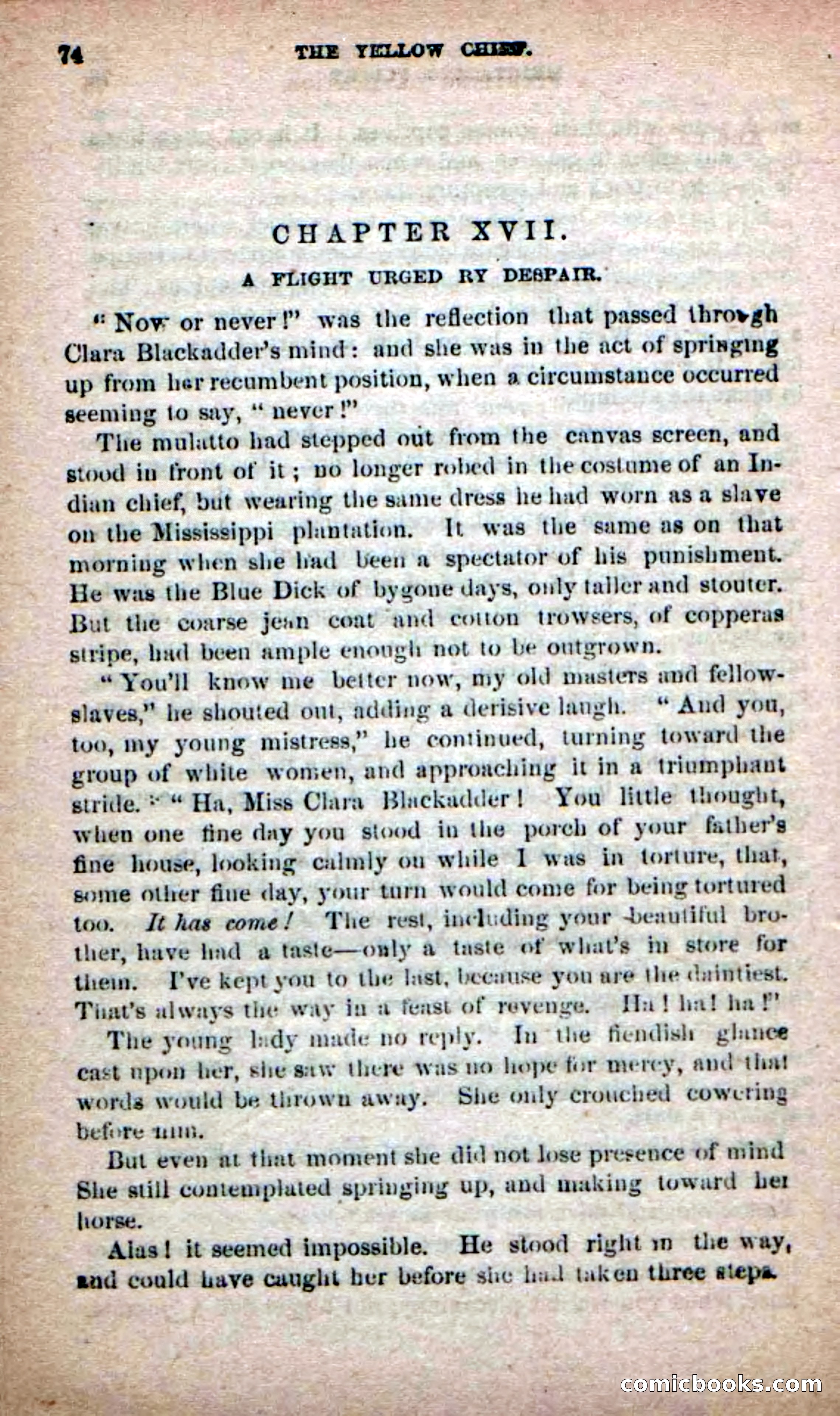 The Yellow Chief — page 72 of 100