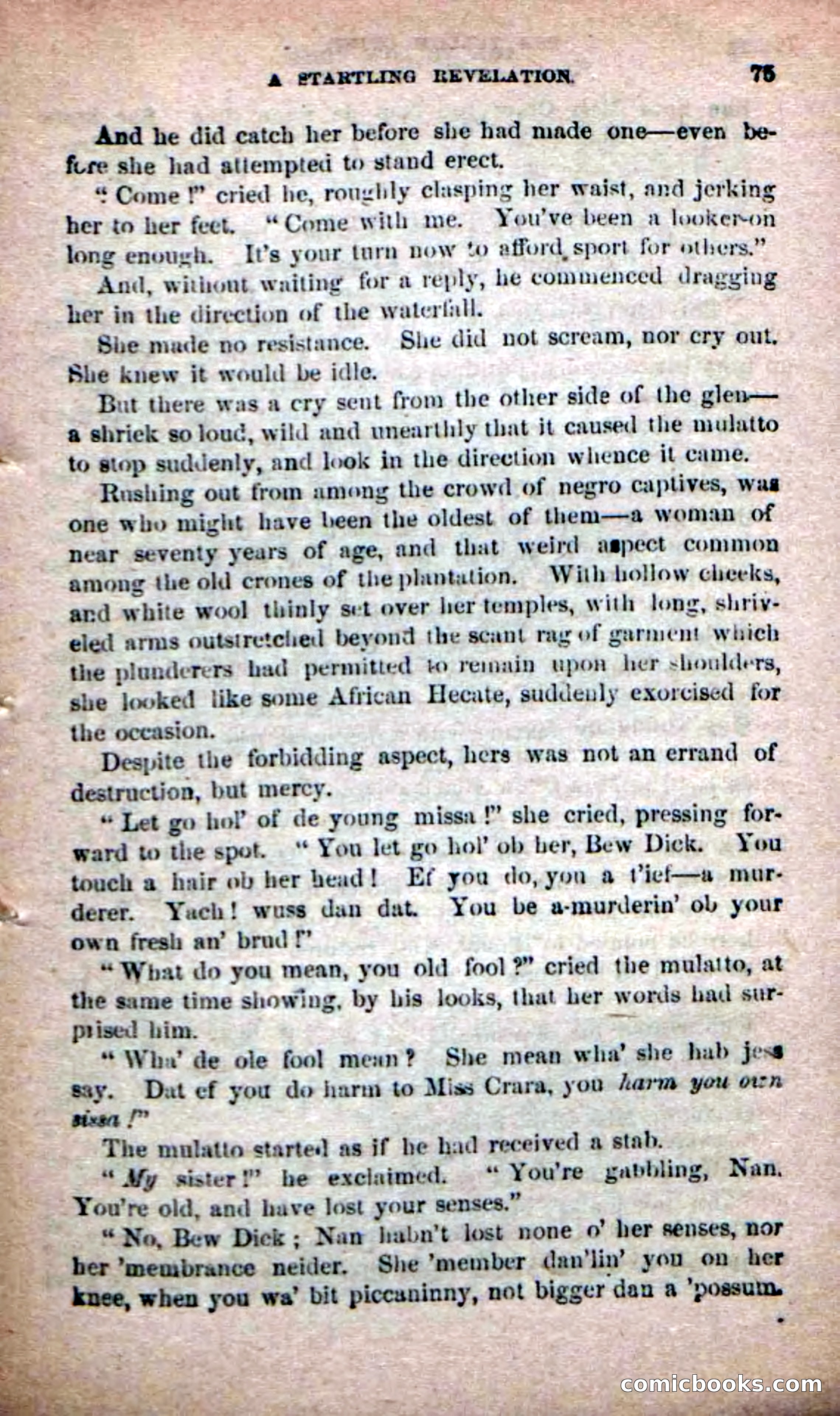 The Yellow Chief — page 73 of 100