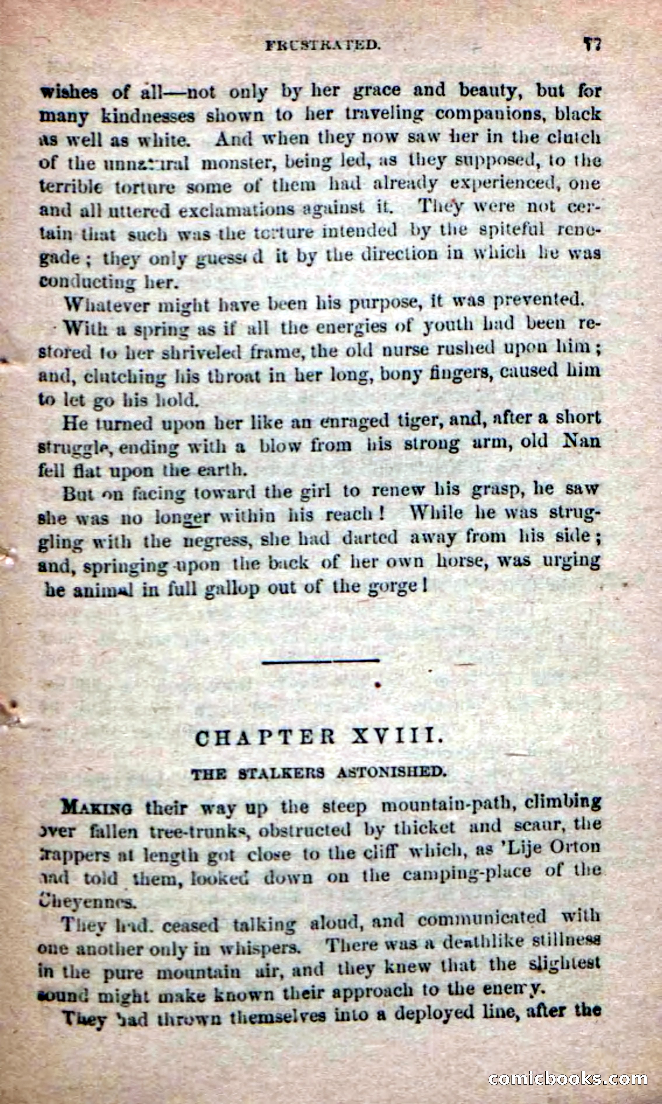 The Yellow Chief — page 75 of 100