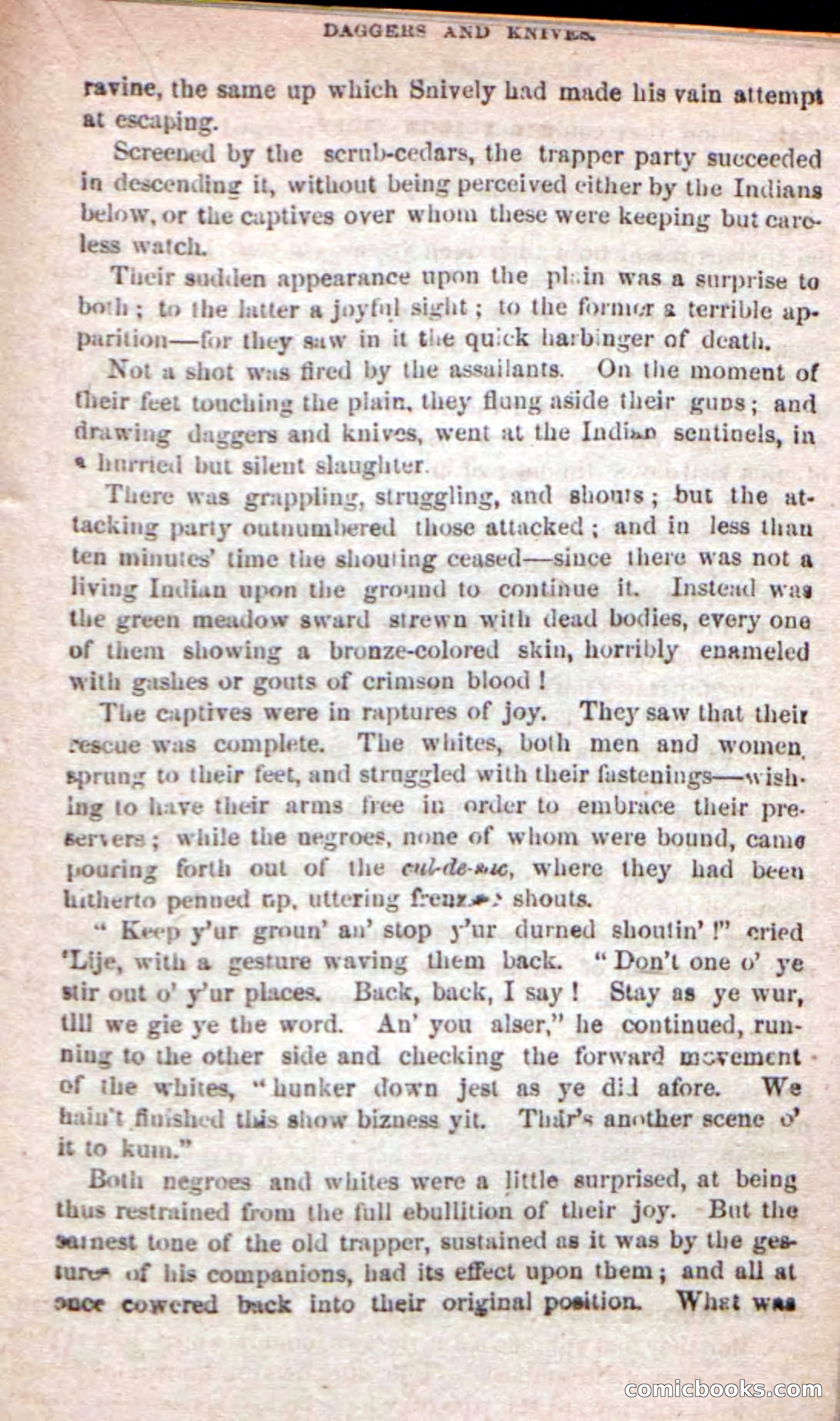 The Yellow Chief — page 81 of 100