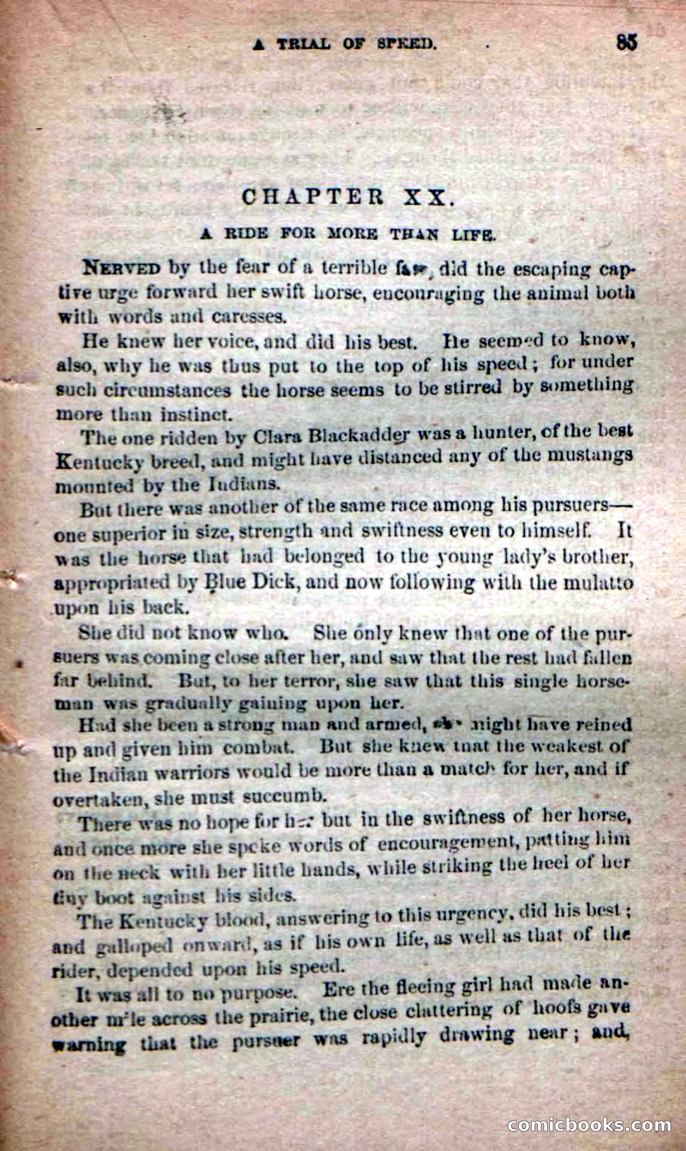The Yellow Chief — page 83 of 100