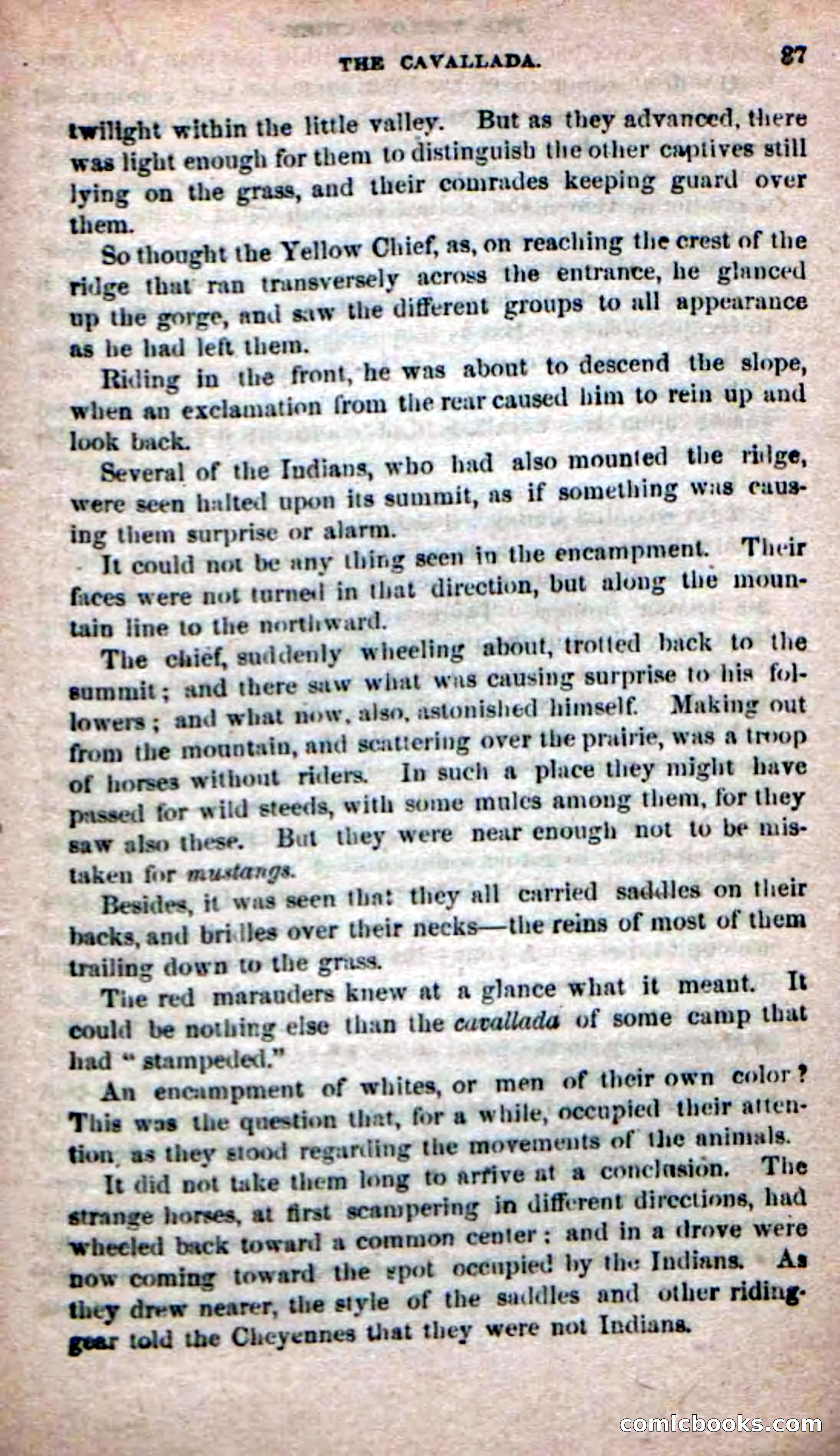 The Yellow Chief — page 85 of 100