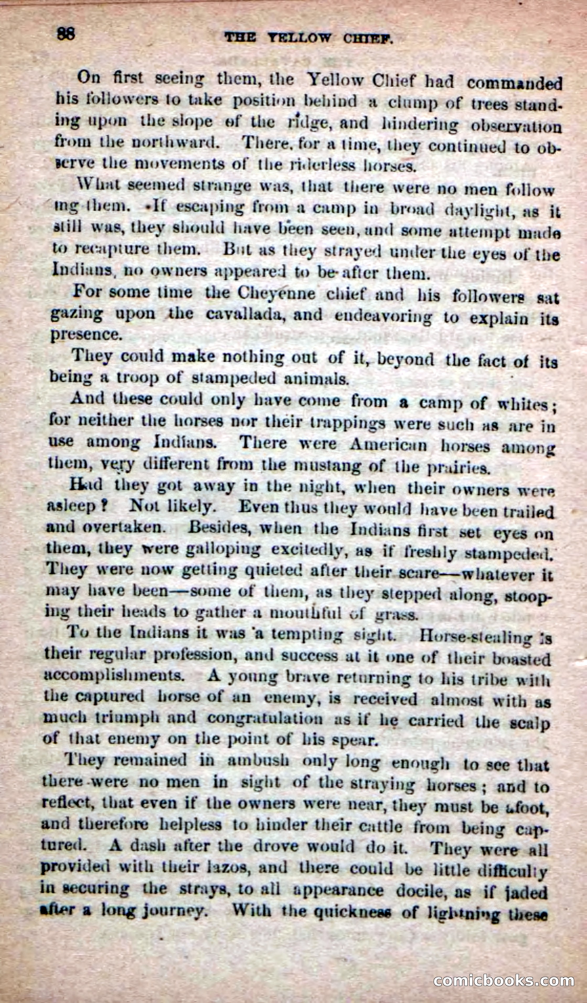 The Yellow Chief — page 86 of 100