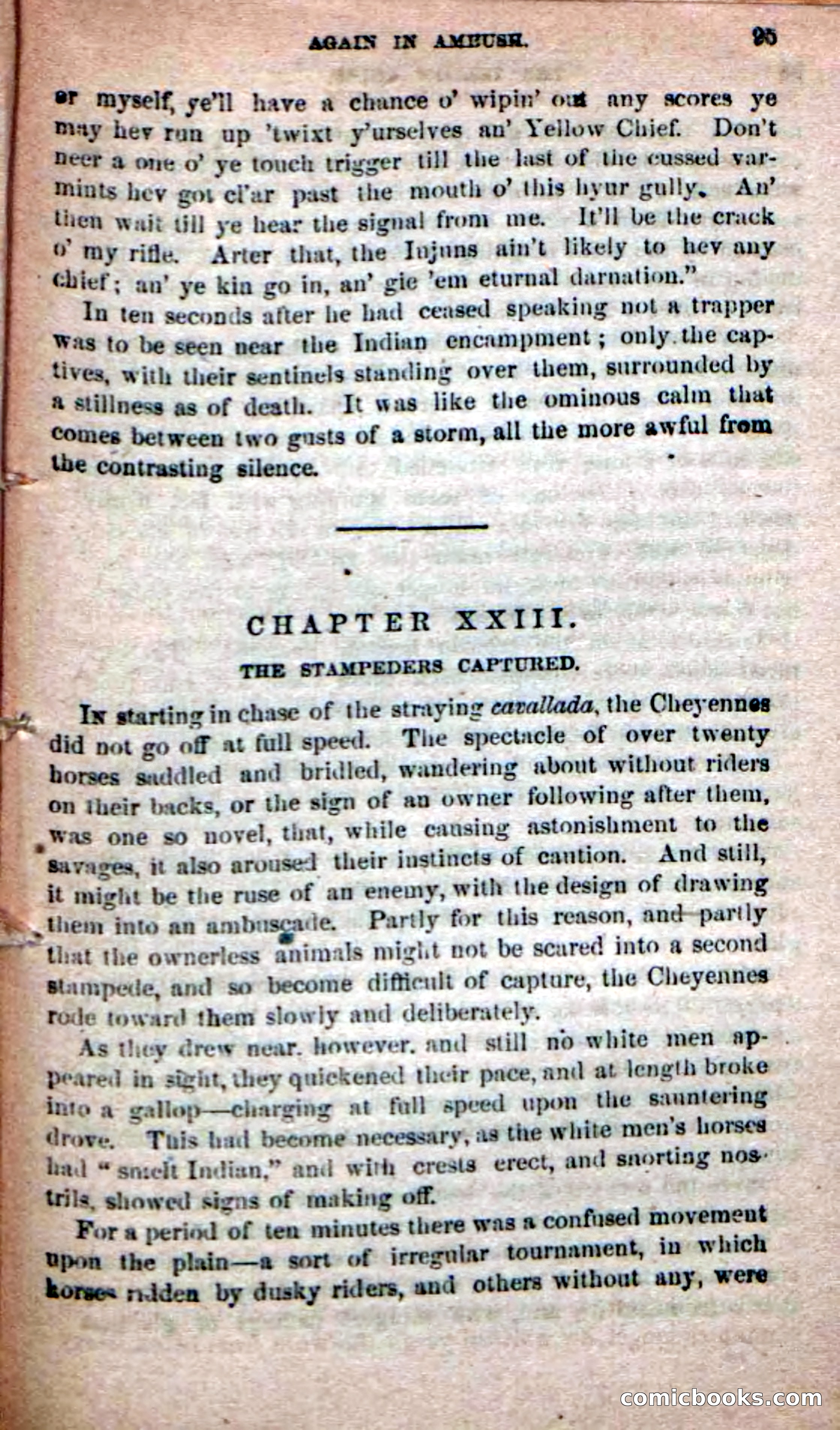 The Yellow Chief — page 93 of 100