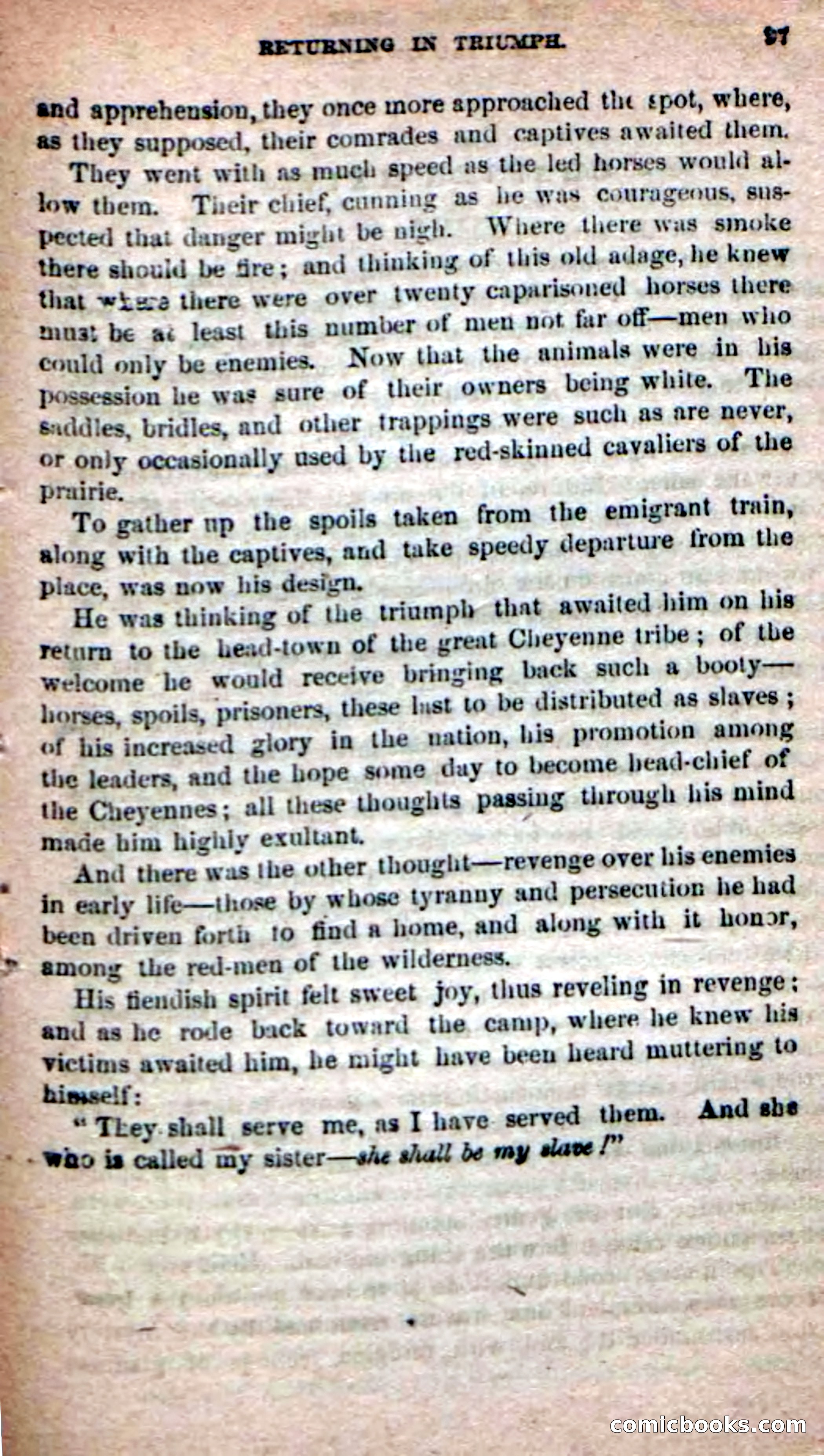 The Yellow Chief — page 95 of 100