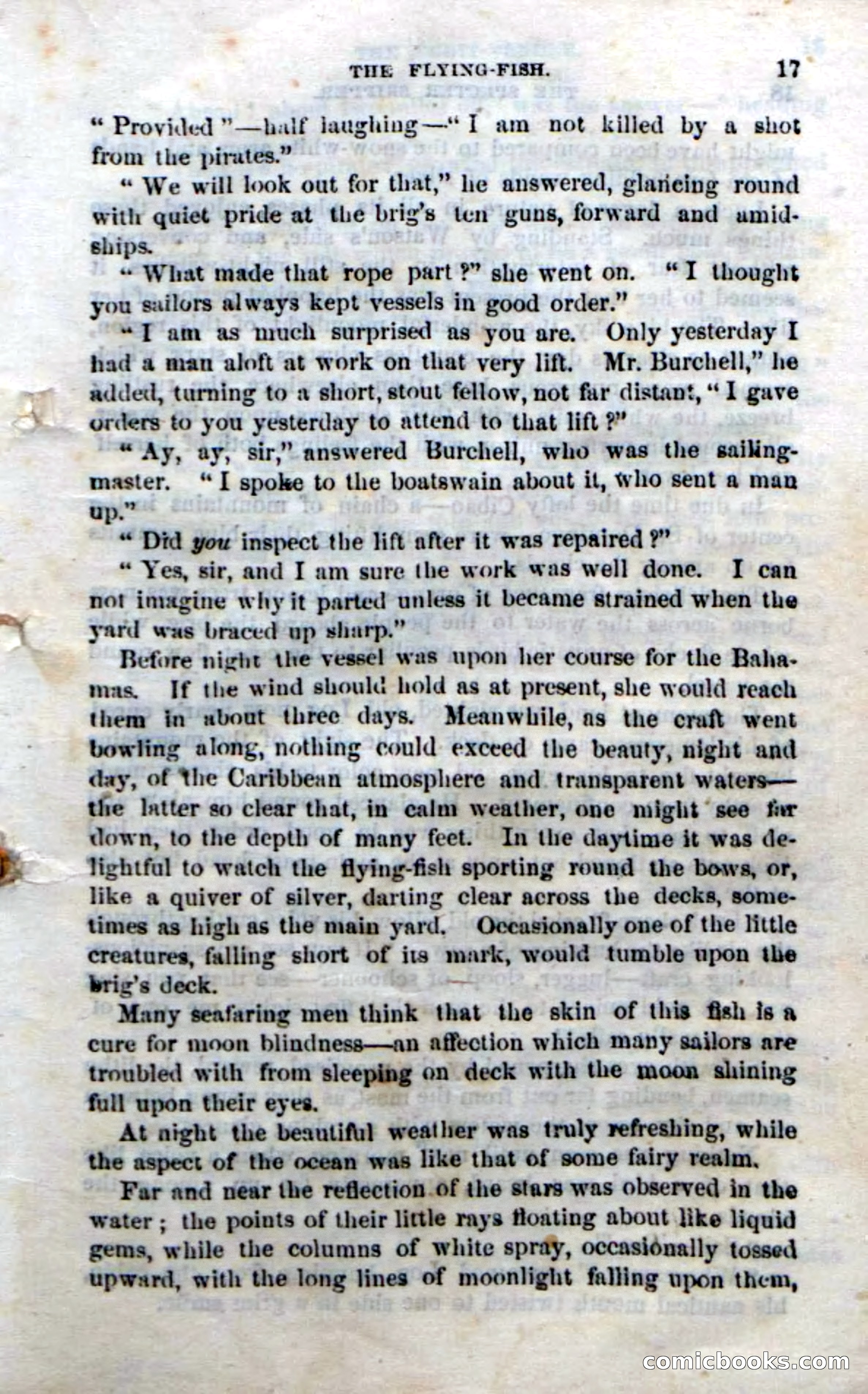 Beadle's Dime Novels No. 192: The Specter Skipper — page 13 of 96