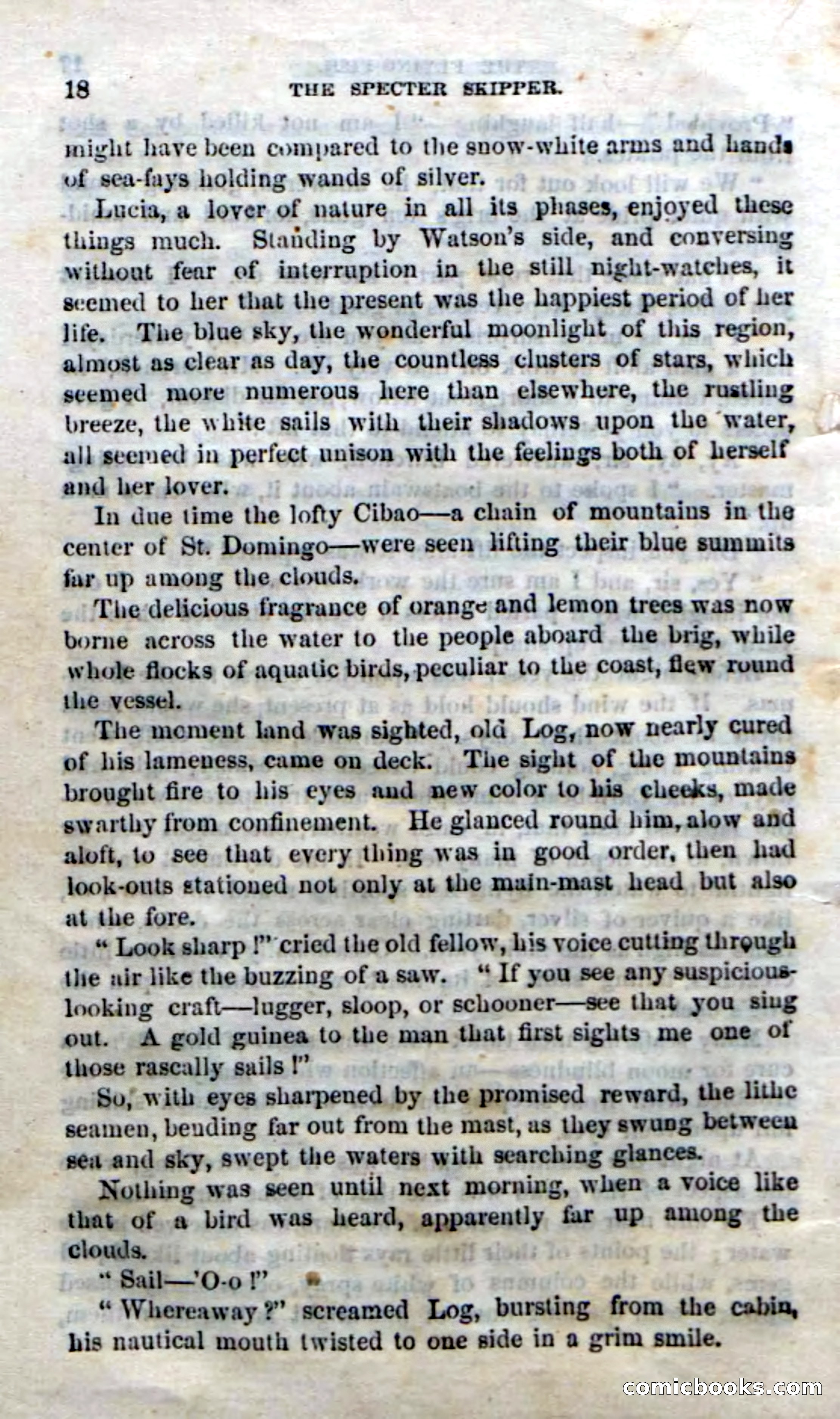 Beadle's Dime Novels No. 192: The Specter Skipper — page 14 of 96