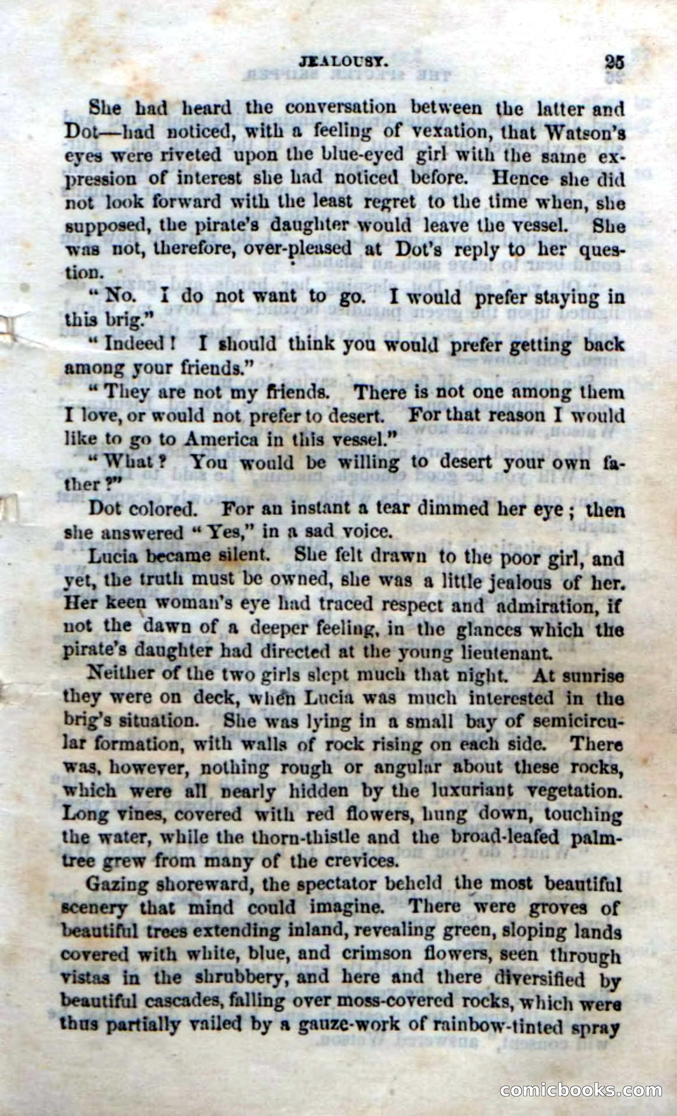 Beadle's Dime Novels No. 192: The Specter Skipper — page 21 of 96