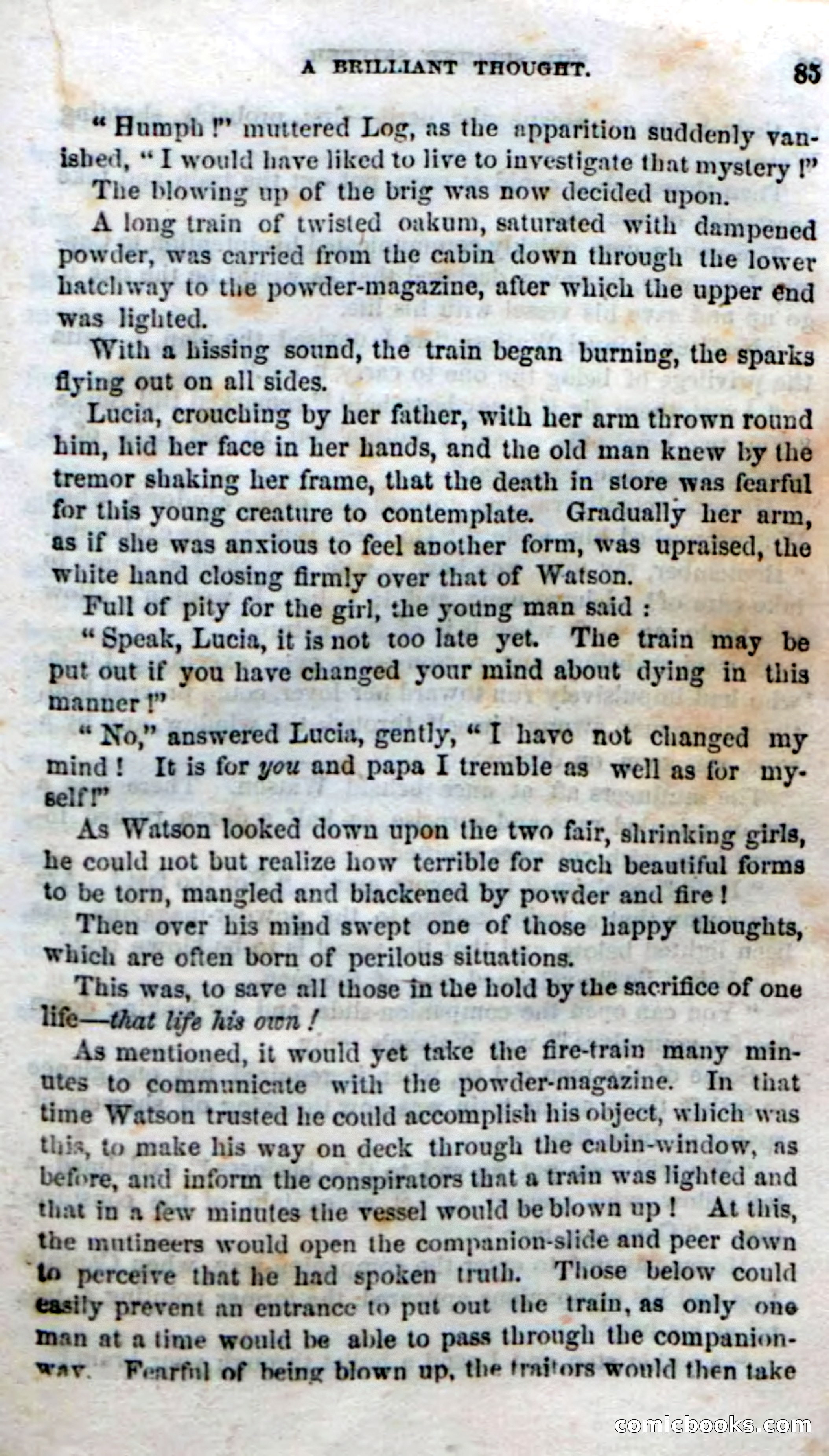 Beadle's Dime Novels No. 192: The Specter Skipper — page 81 of 96
