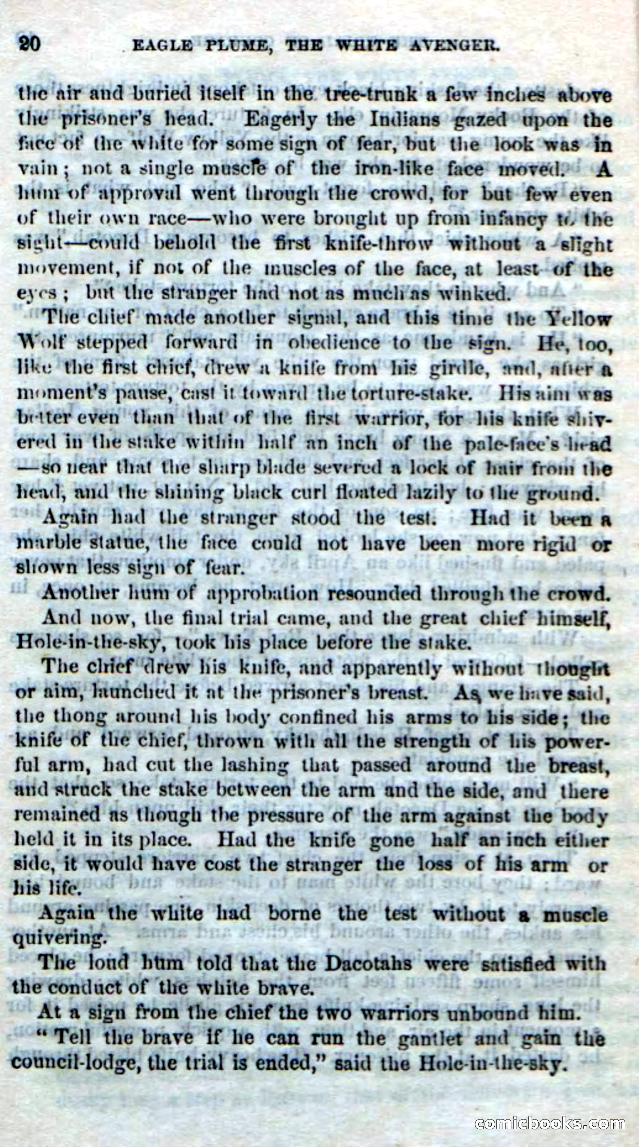 Eagle Plume: The White Avenger — page 18 of 100