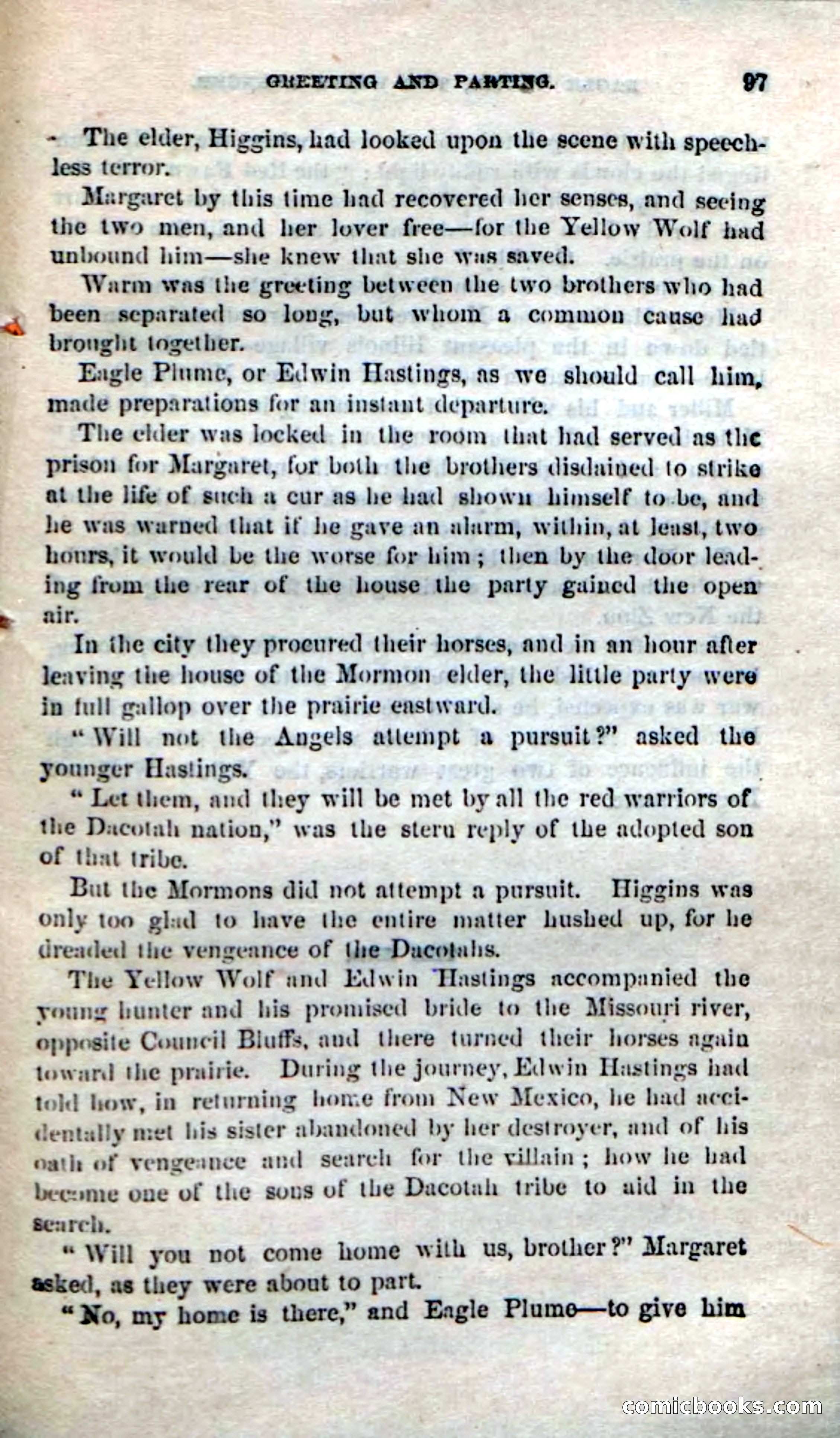 Eagle Plume: The White Avenger — page 95 of 100