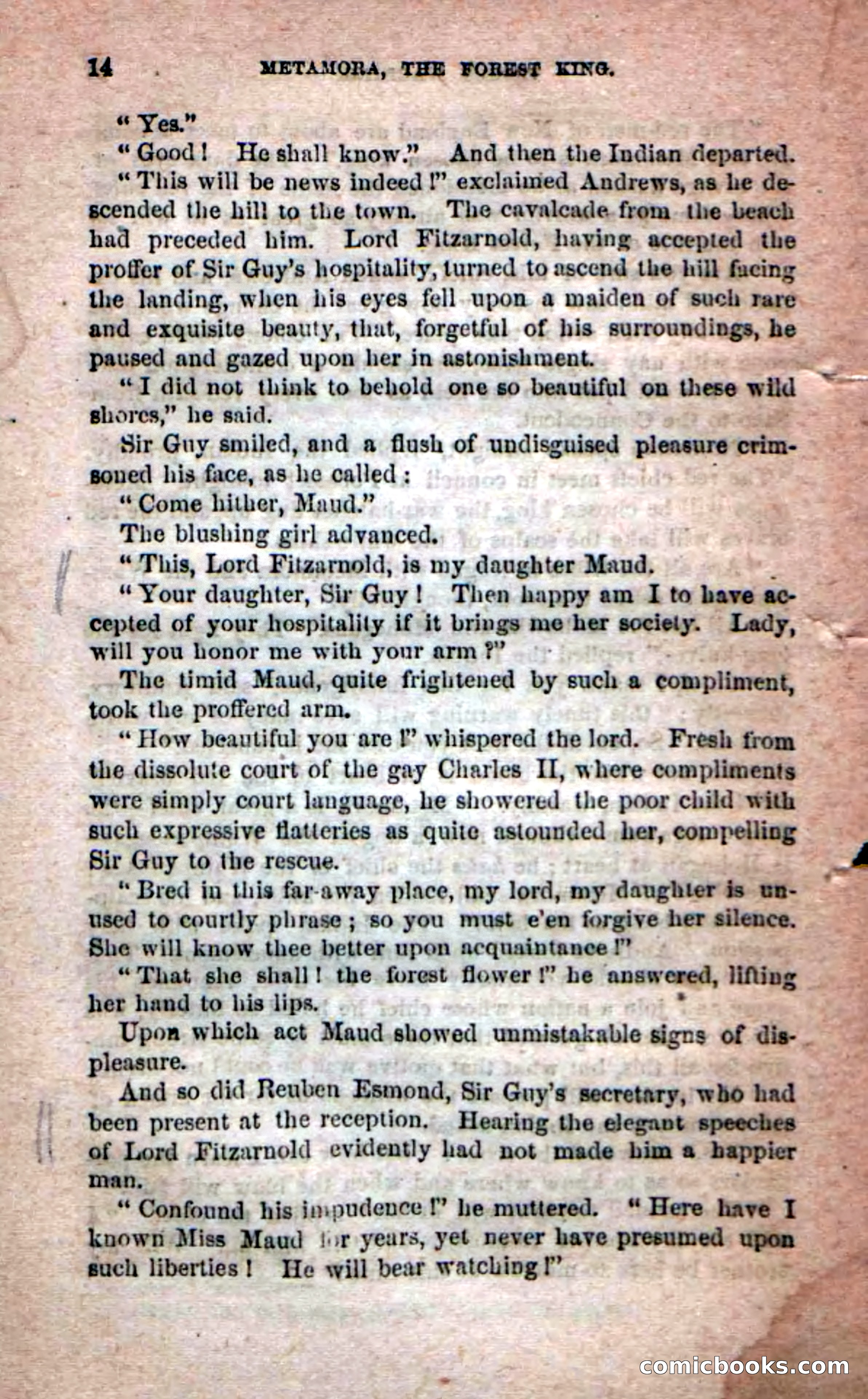 Beadle's Dime Novels No. 204: Metamora; or, The Forest King — page 12 of 98