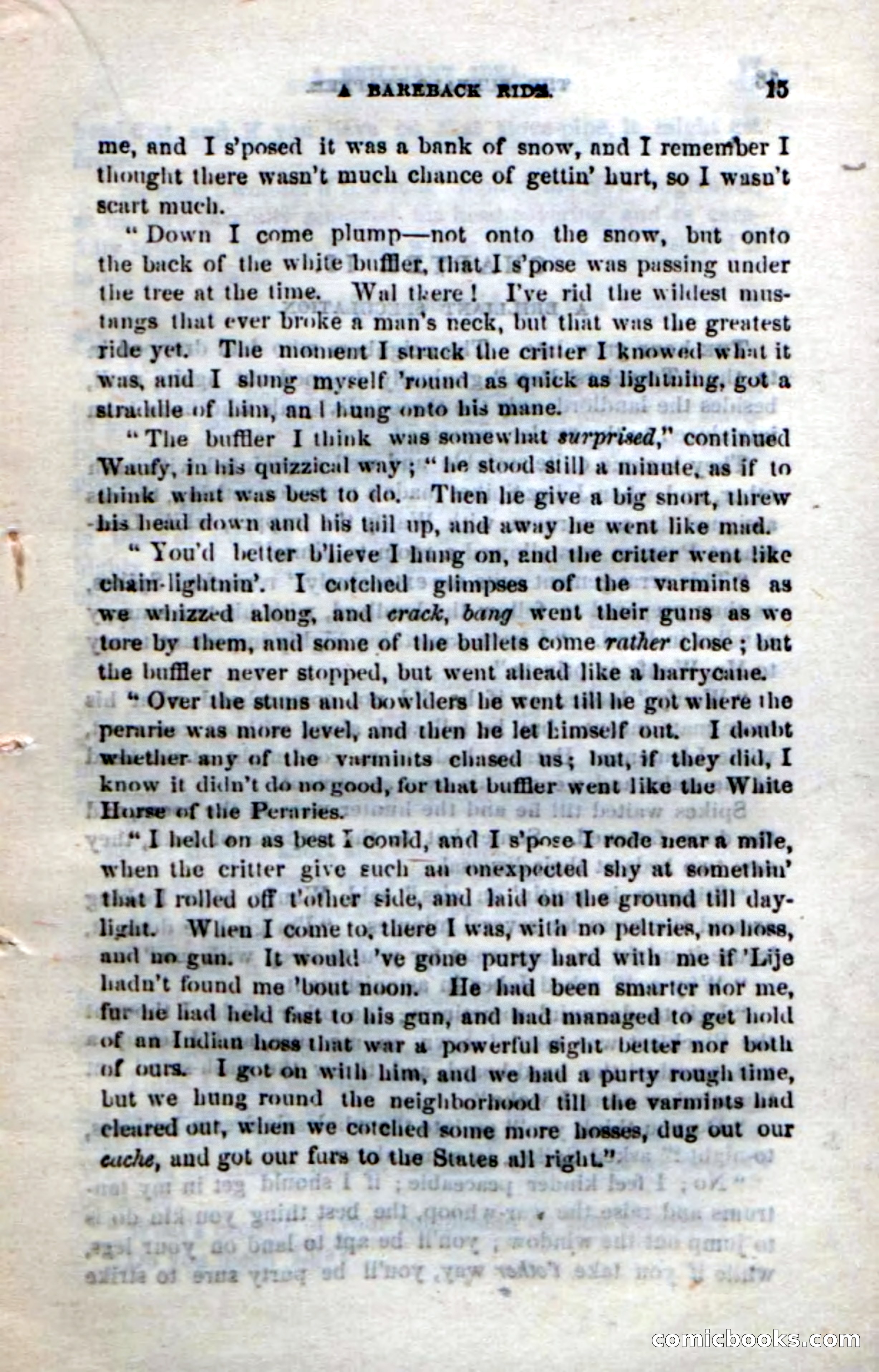 The Buffalo-Trapper — page 13 of 100