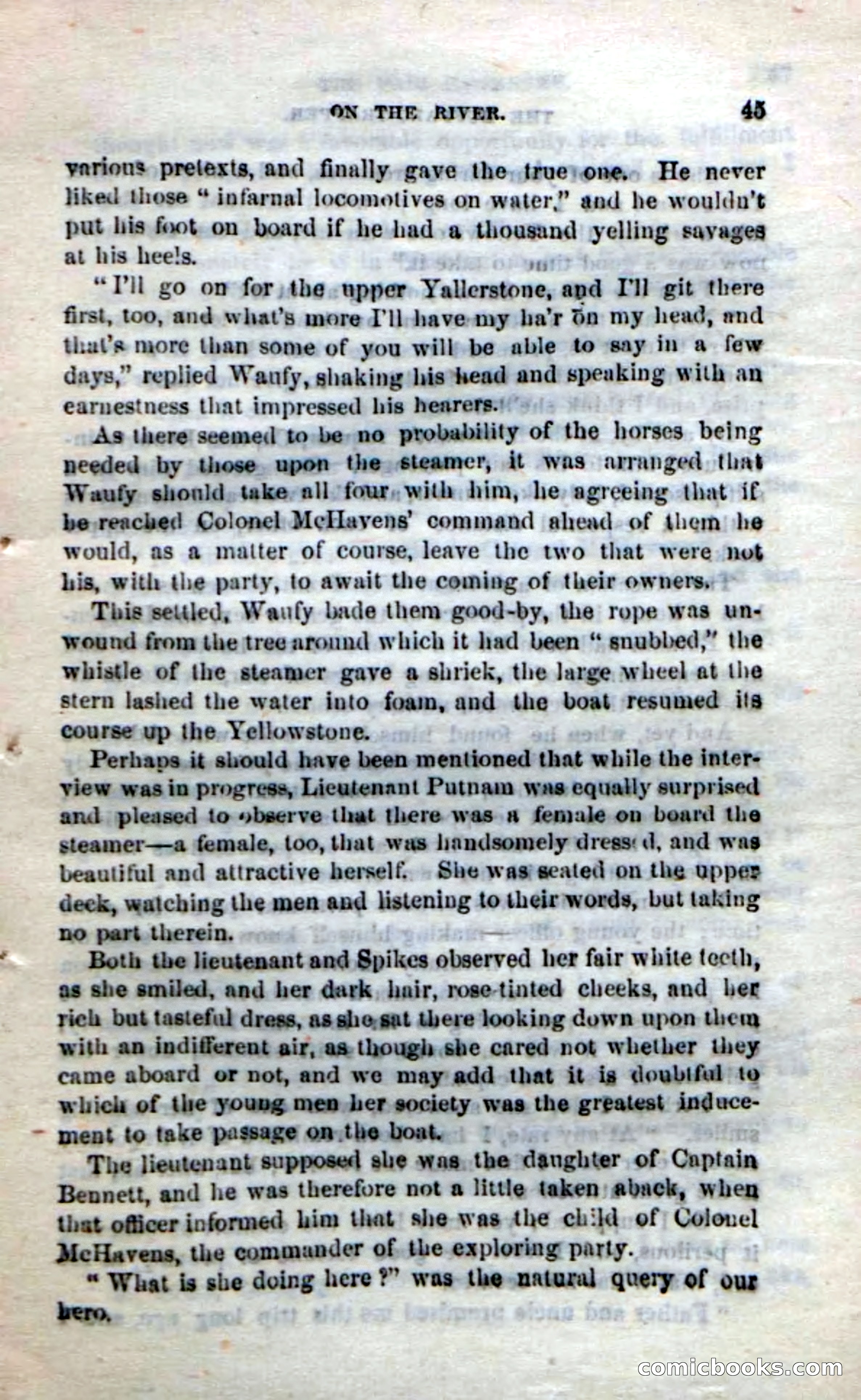 The Buffalo-Trapper — page 43 of 100