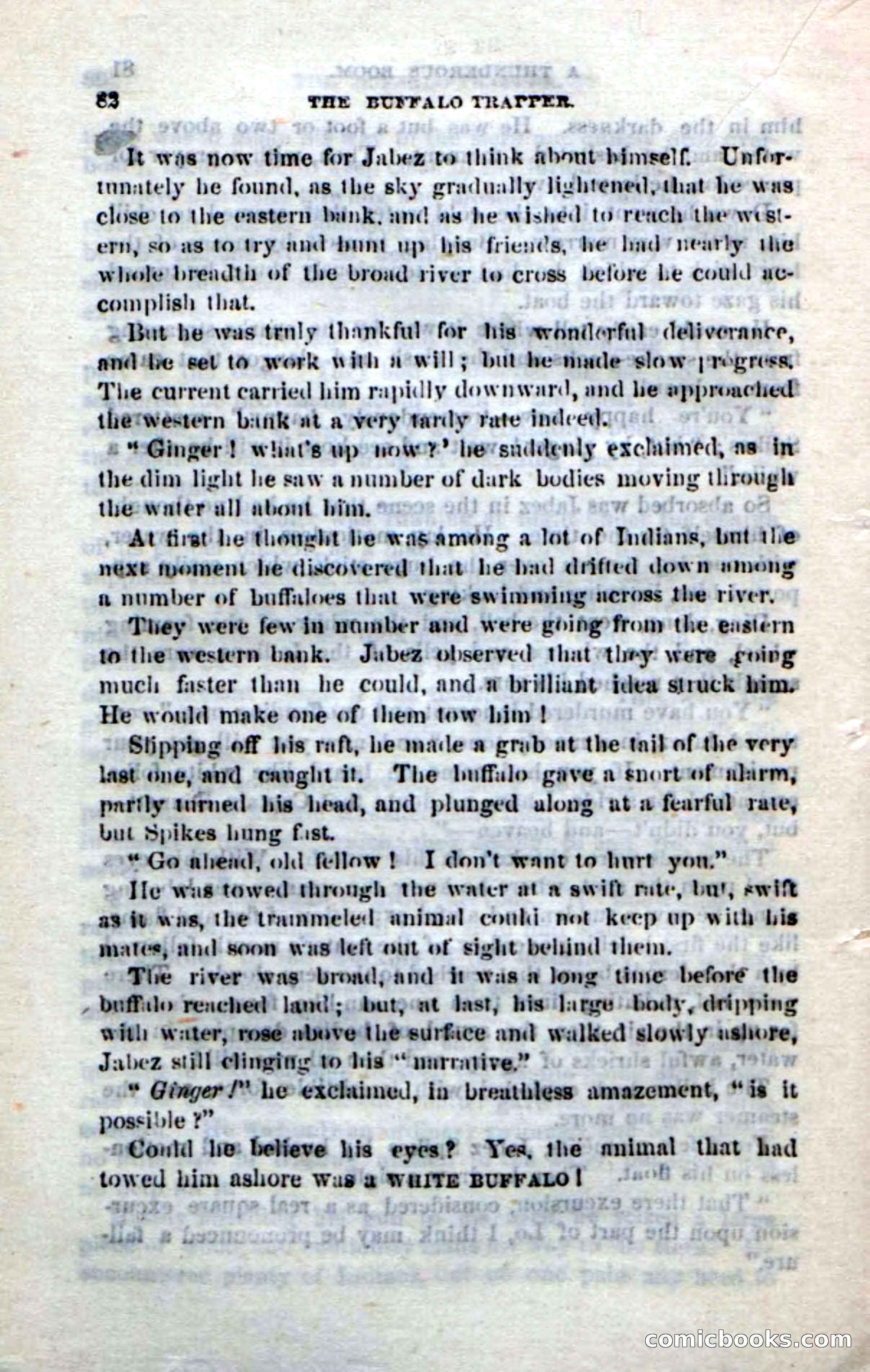 The Buffalo-Trapper — page 80 of 100