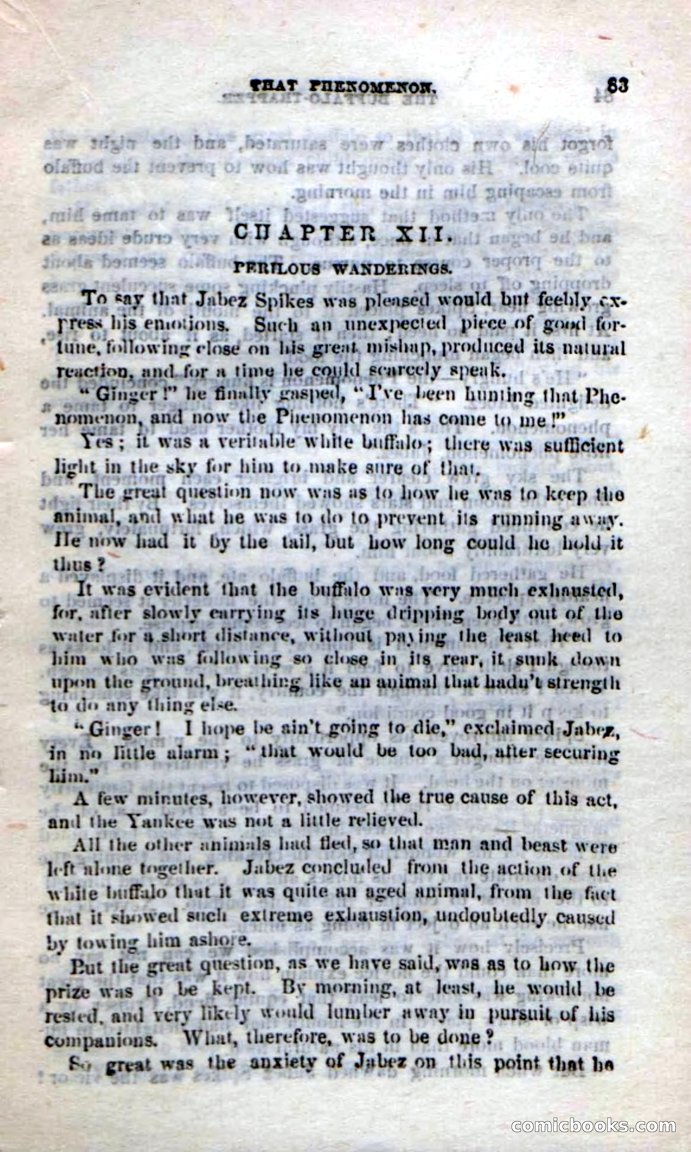 The Buffalo-Trapper — page 81 of 100