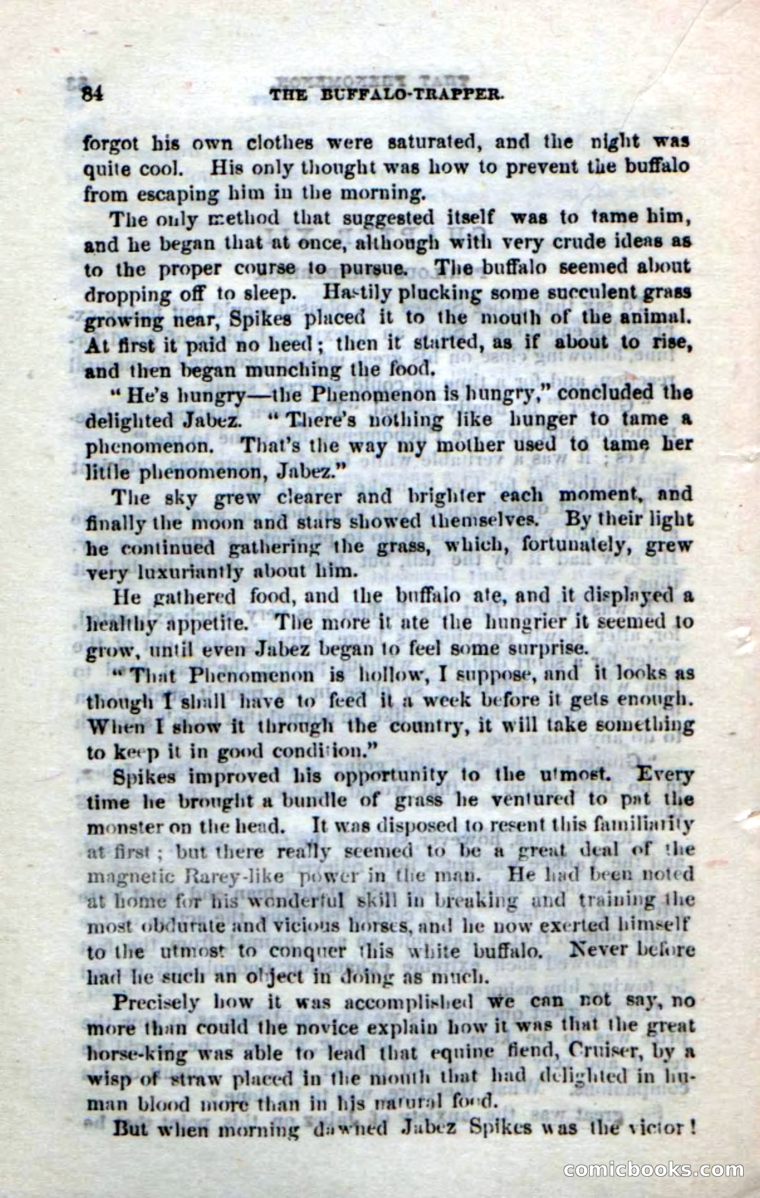 The Buffalo-Trapper — page 82 of 100