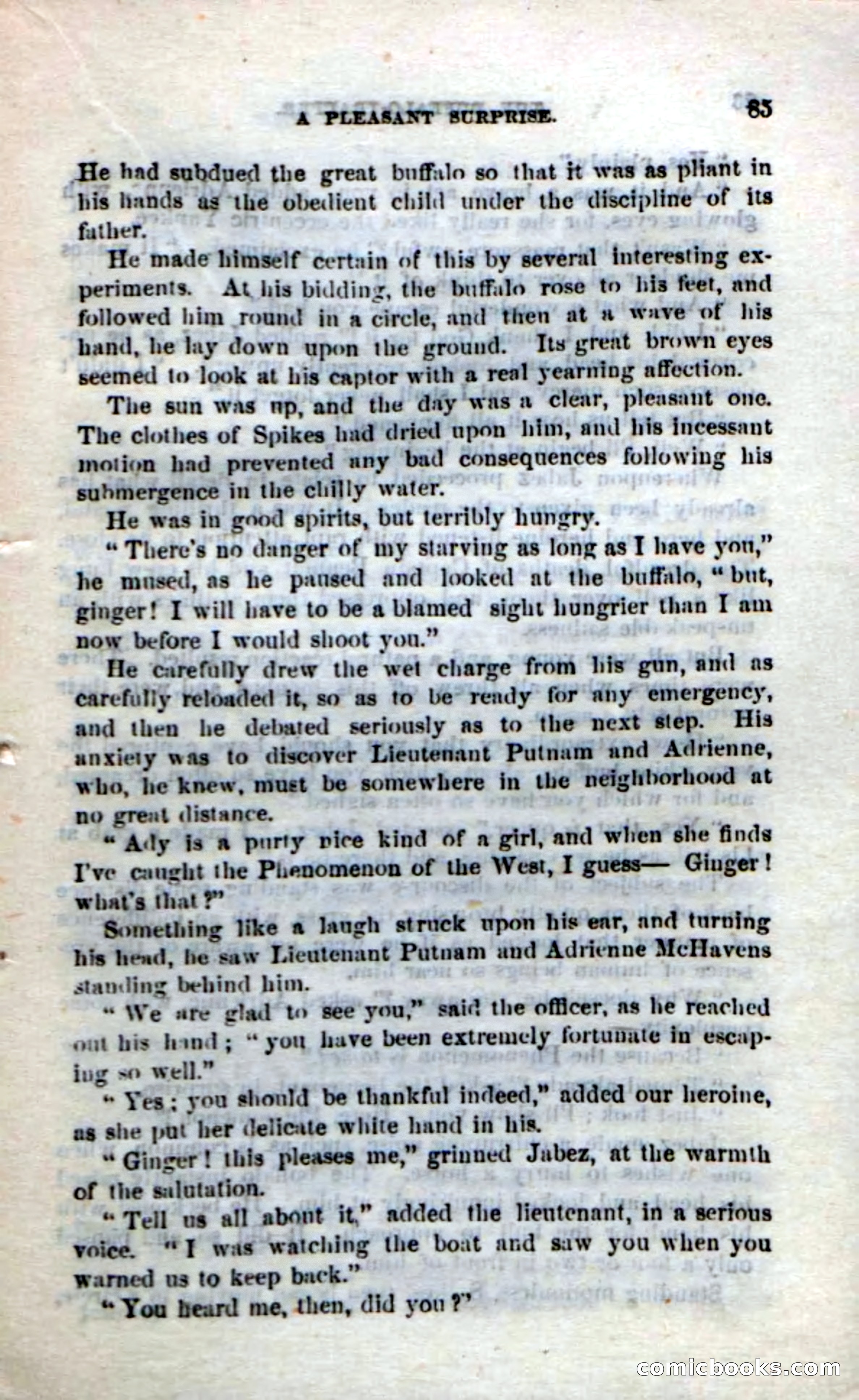 The Buffalo-Trapper — page 83 of 100