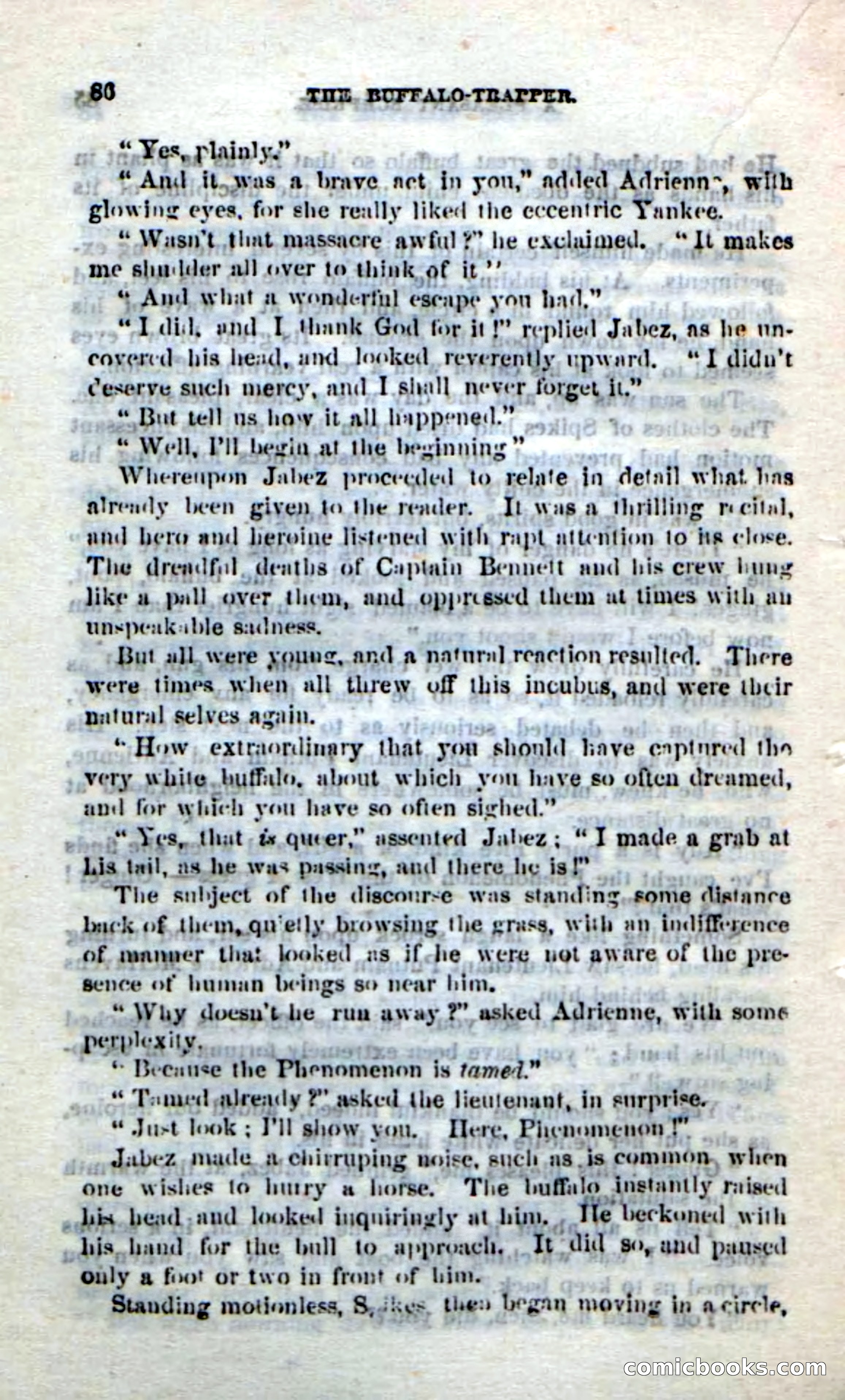 The Buffalo-Trapper — page 84 of 100